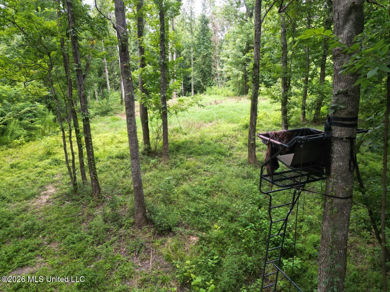 23 Pheasant Road Property Photo 11