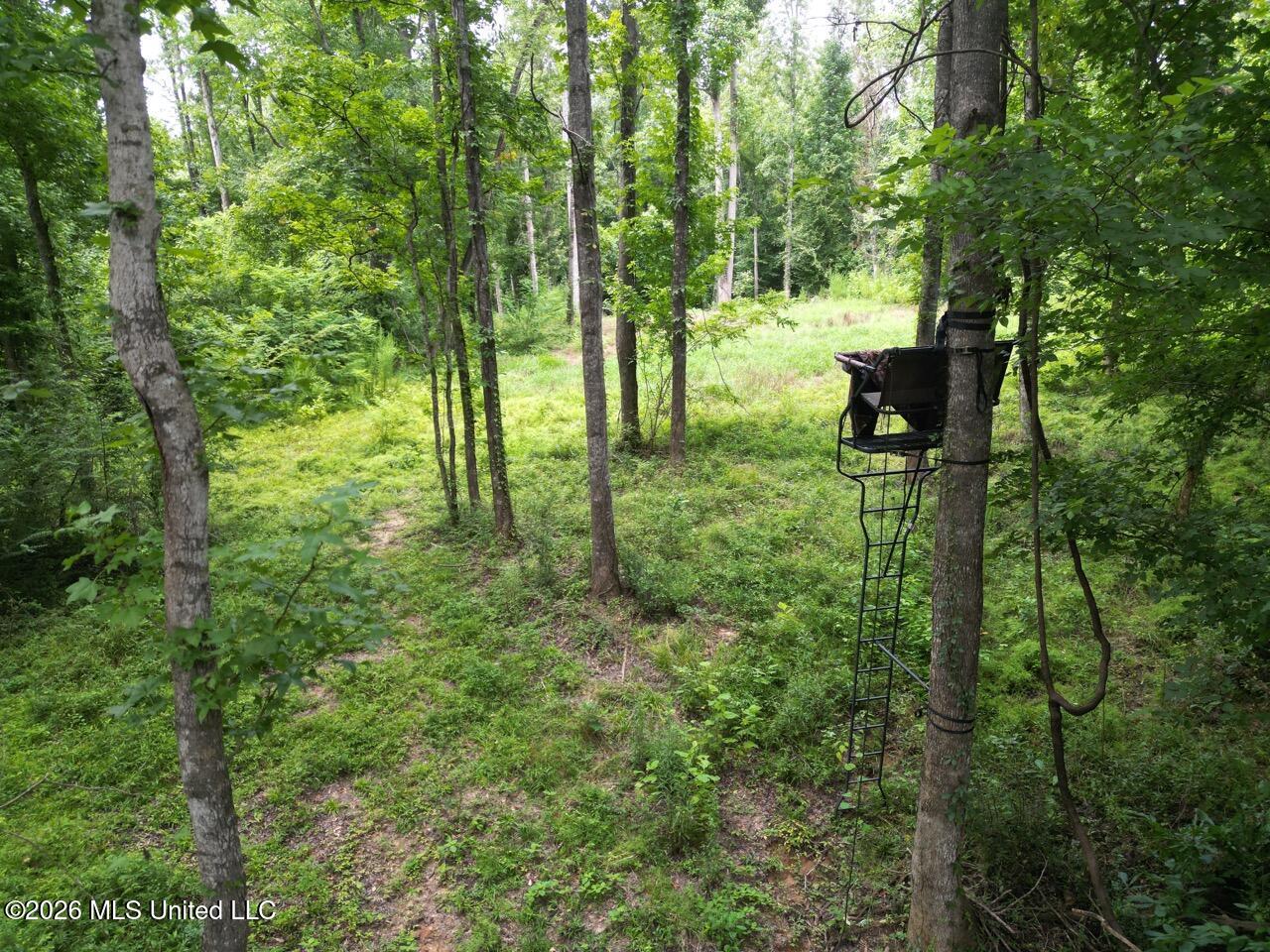 23 Pheasant Road Property Photo 12