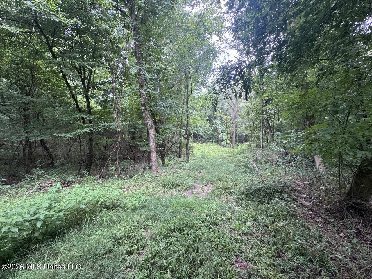 23 Pheasant Road Property Photo 16
