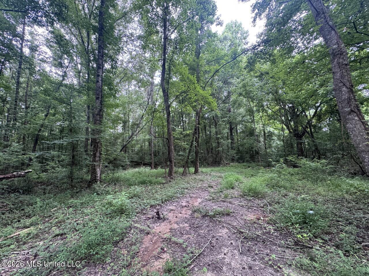 23 Pheasant Road Property Photo 19