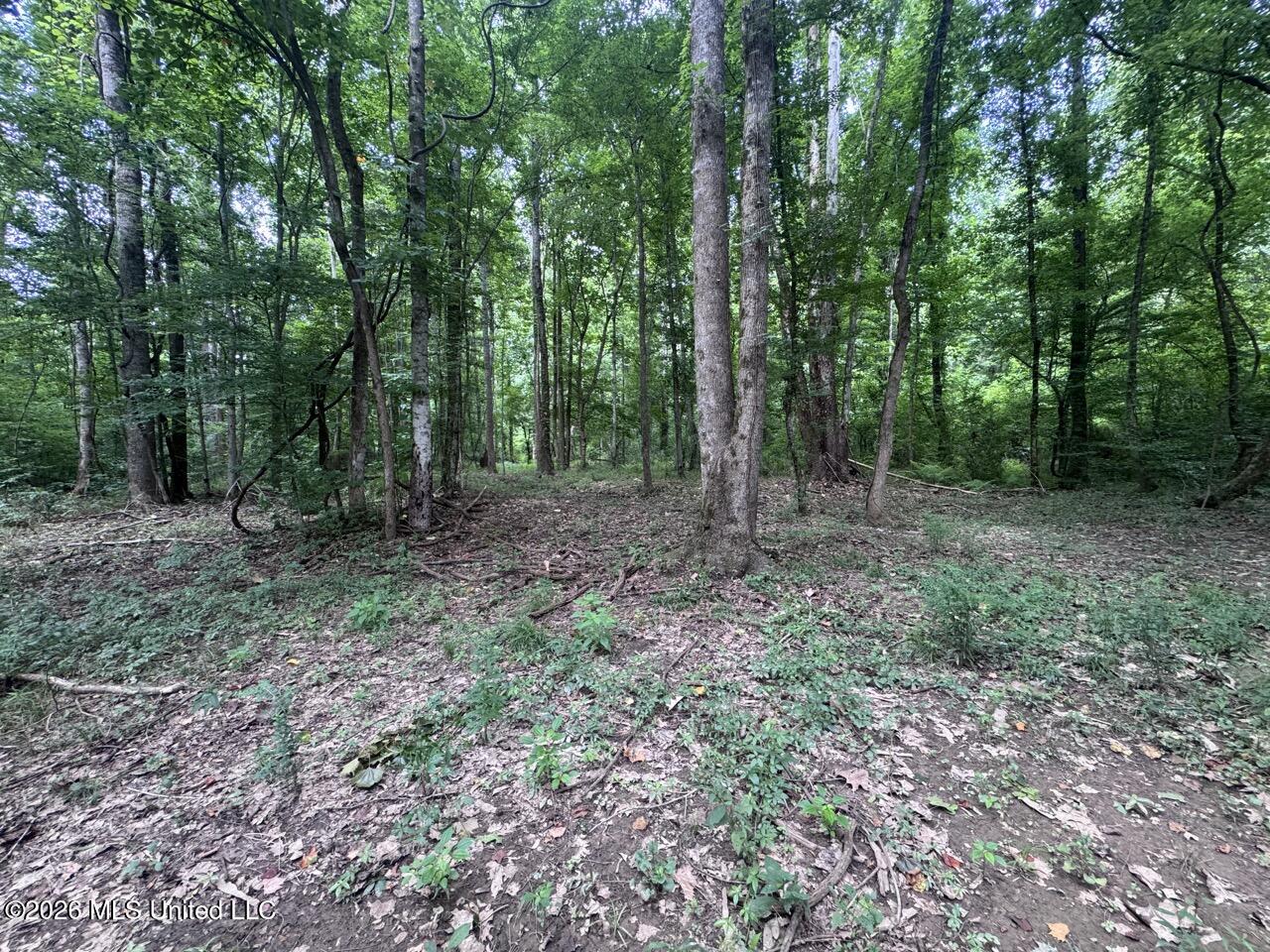 23 Pheasant Road Property Photo 30