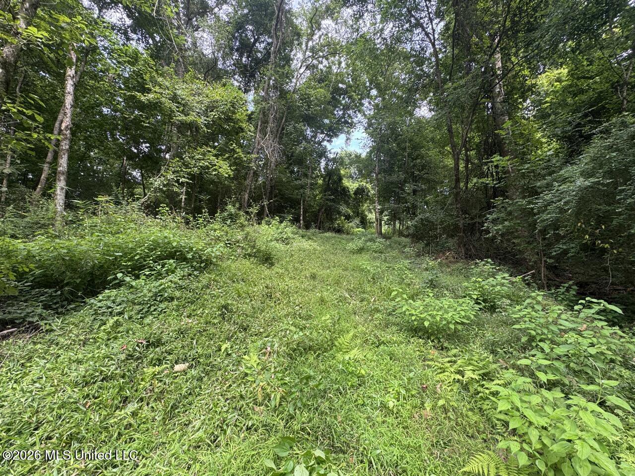 23 Pheasant Road Property Photo 31