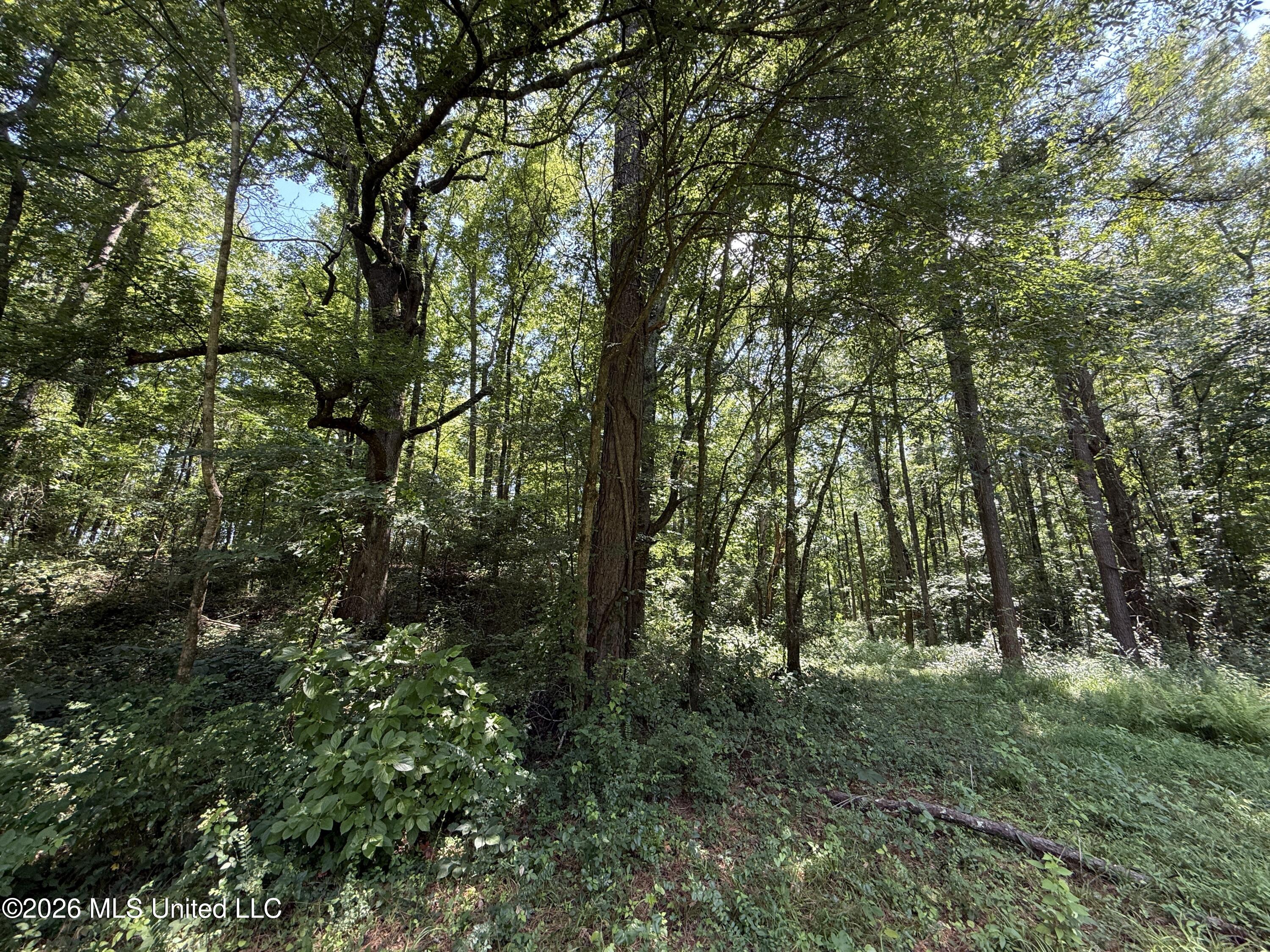 County Road 2251 Property Photo 5