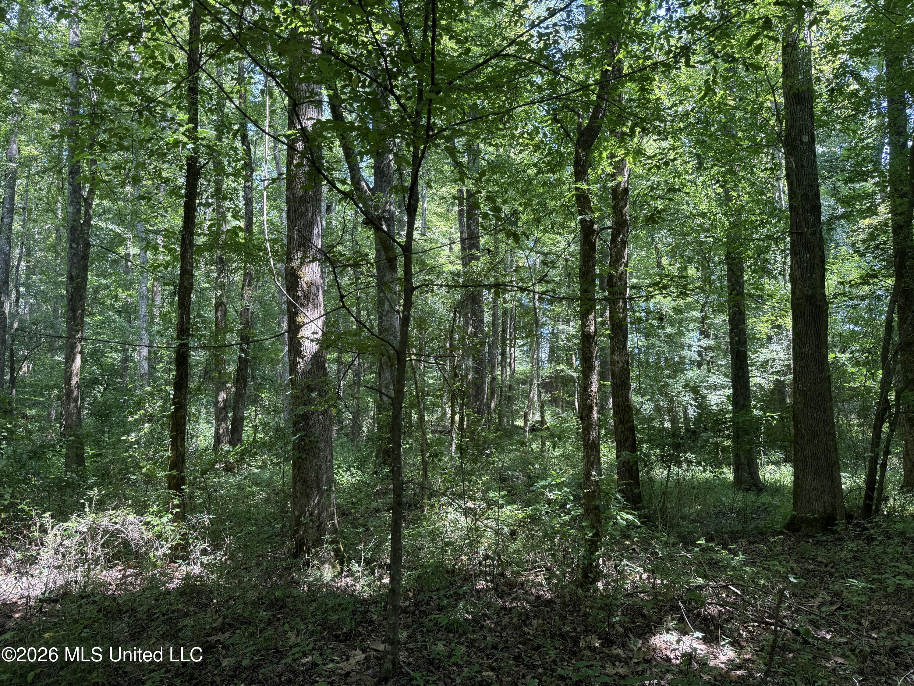 County Road 2251 Property Photo 7