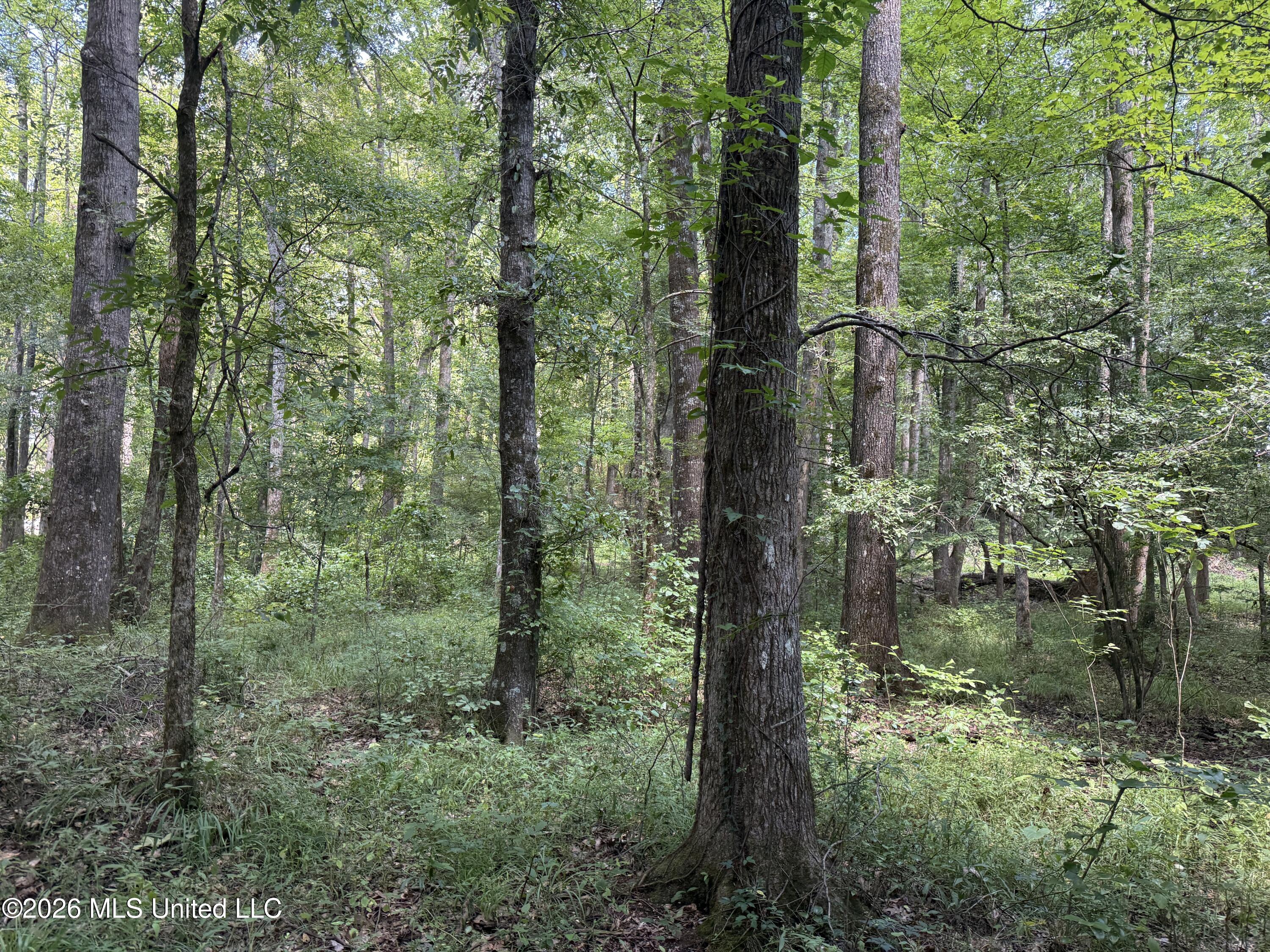 County Road 2251 Property Photo 8