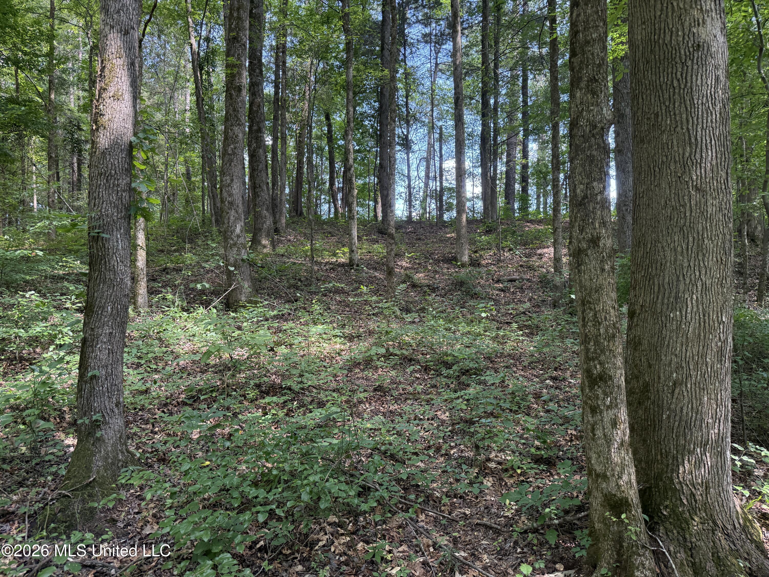 County Road 2251 Property Photo 9