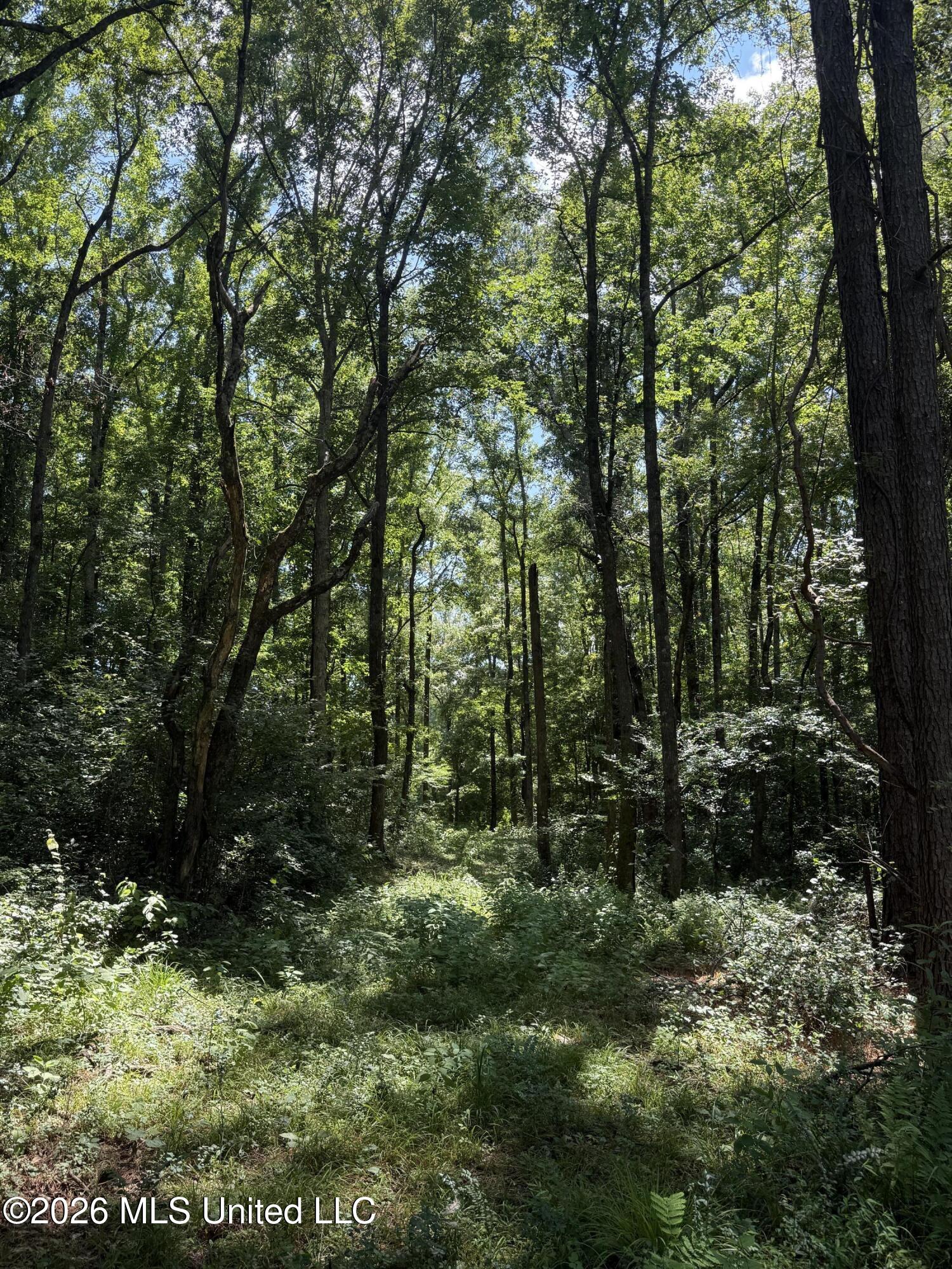 County Road 2251 Property Photo 10