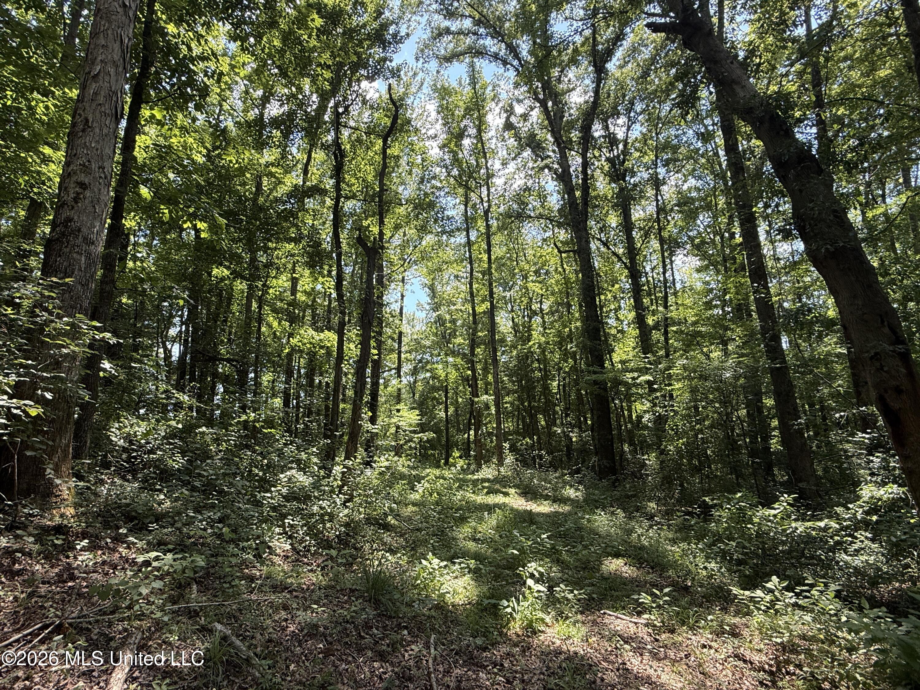 County Road 2251 Property Photo 11