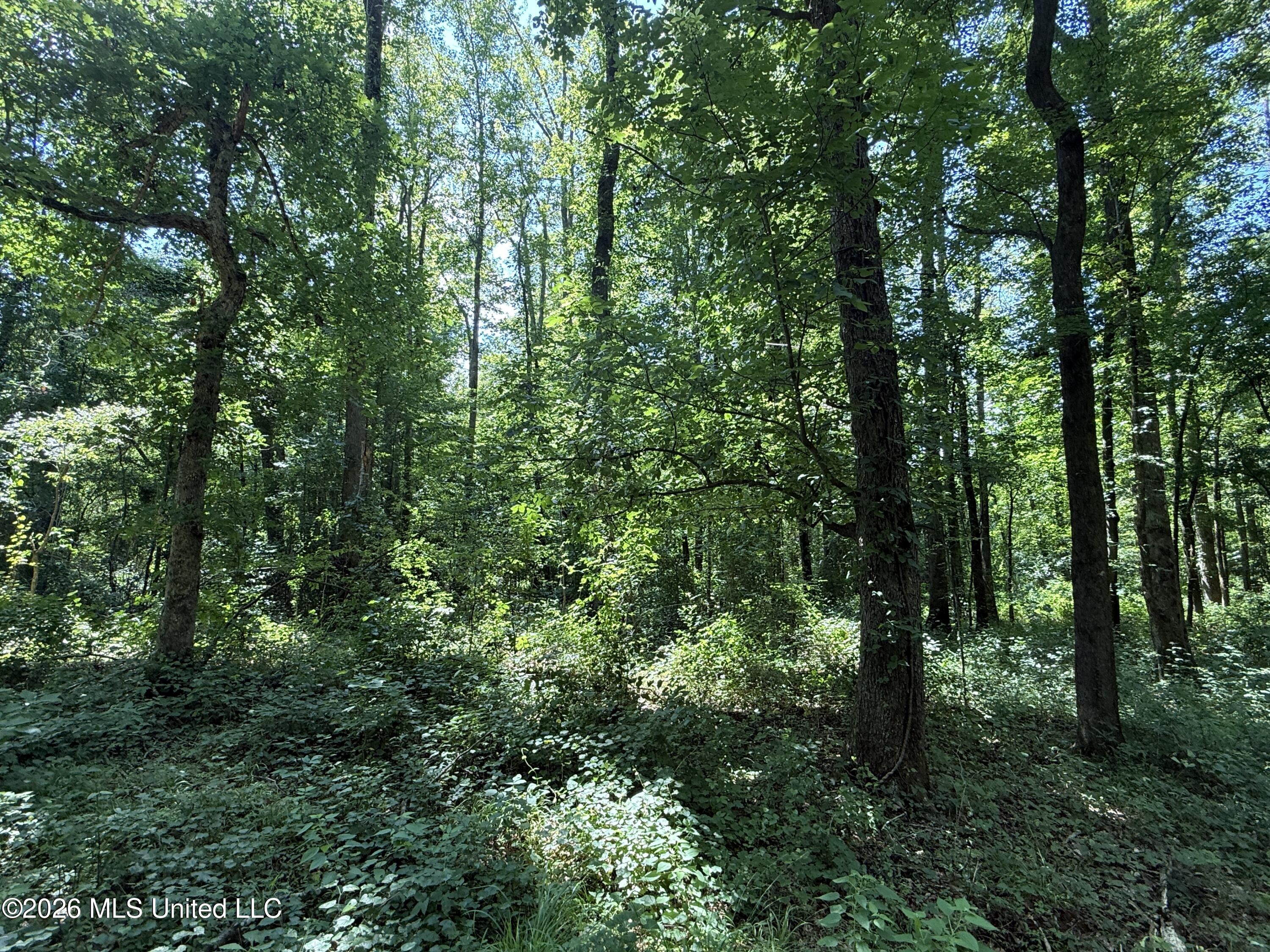 County Road 2251 Property Photo 12