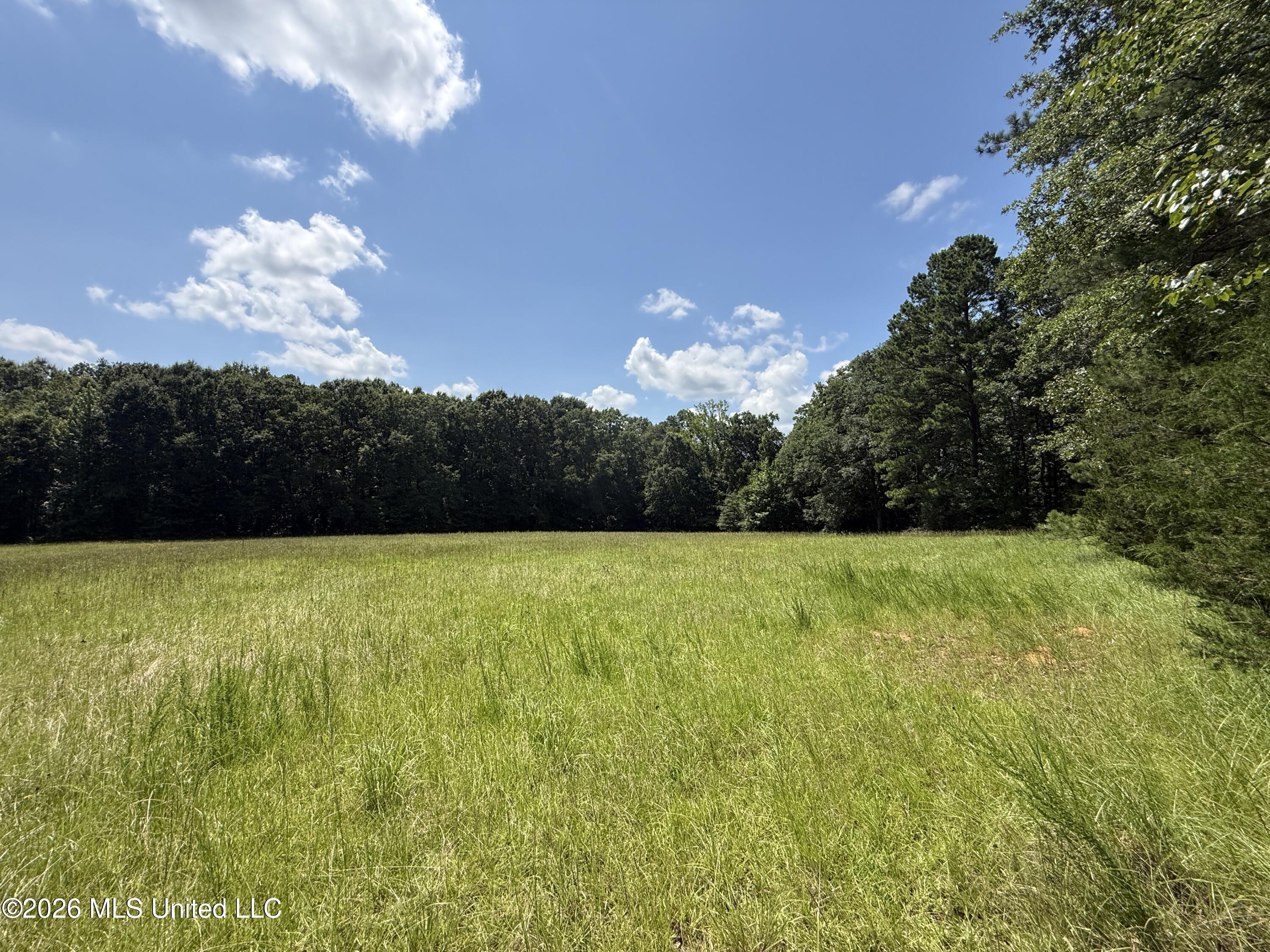County Road 2251 Property Photo 13