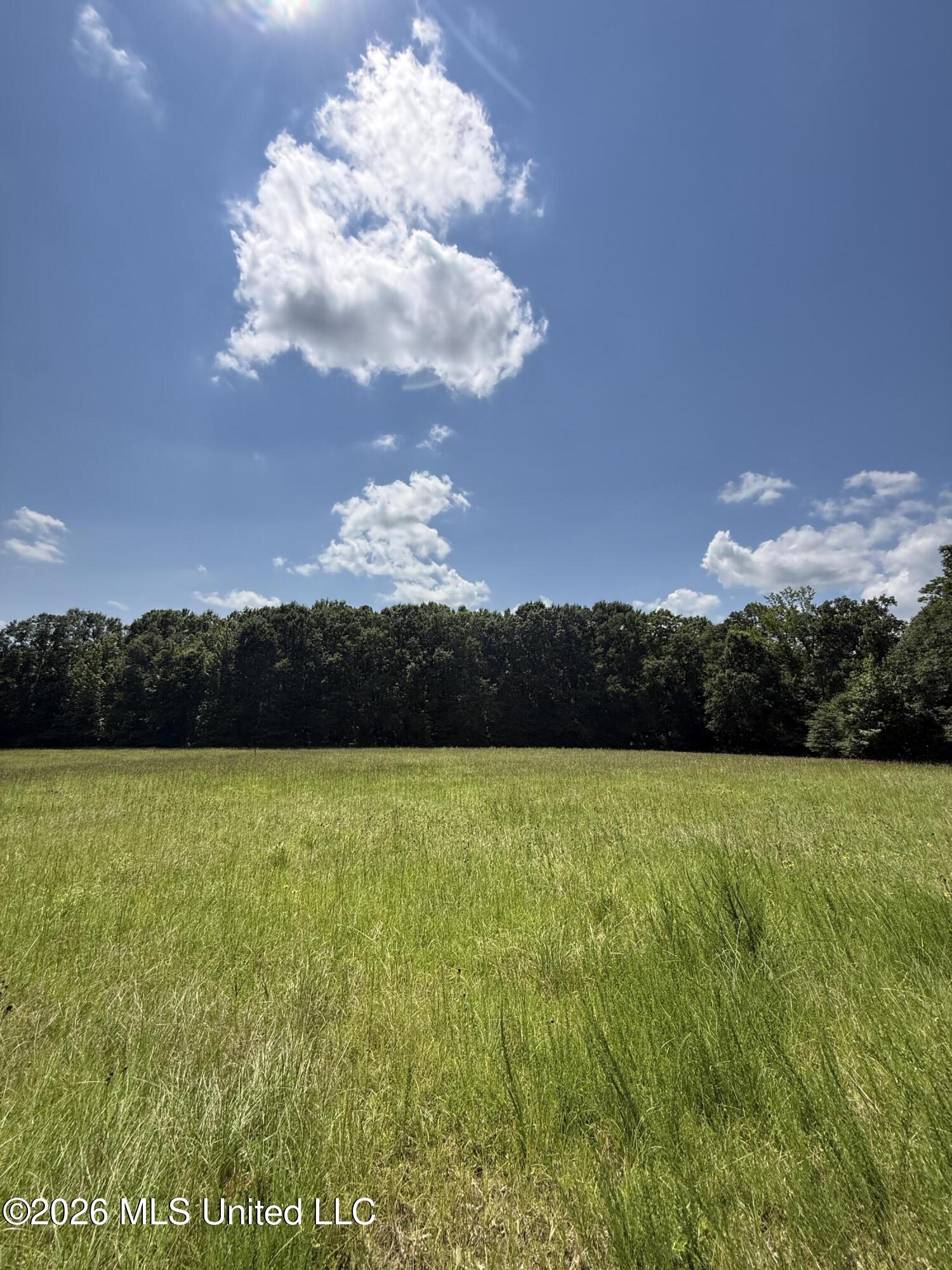 County Road 2251 Property Photo 14