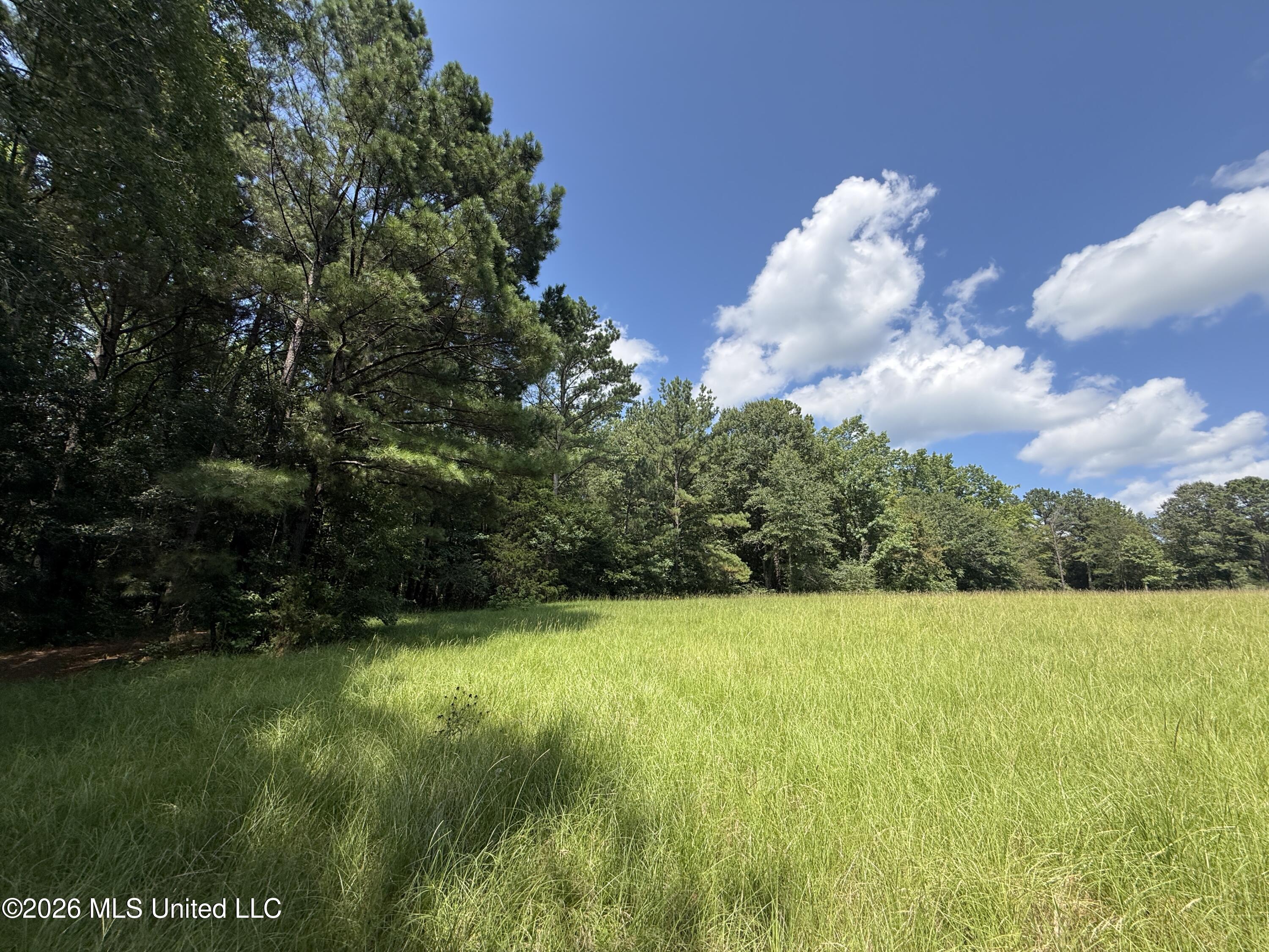 County Road 2251 Property Photo 15