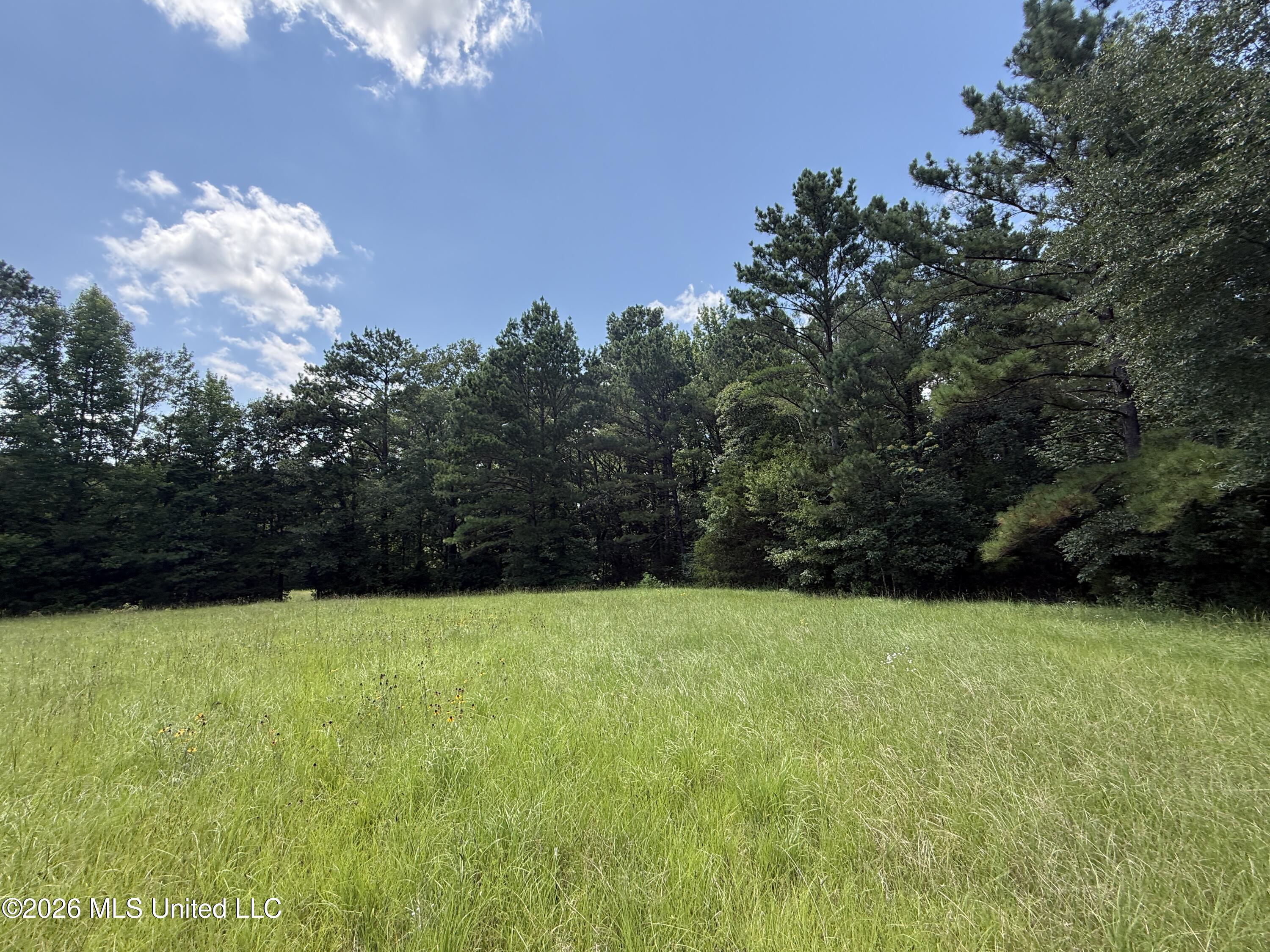 County Road 2251 Property Photo 16