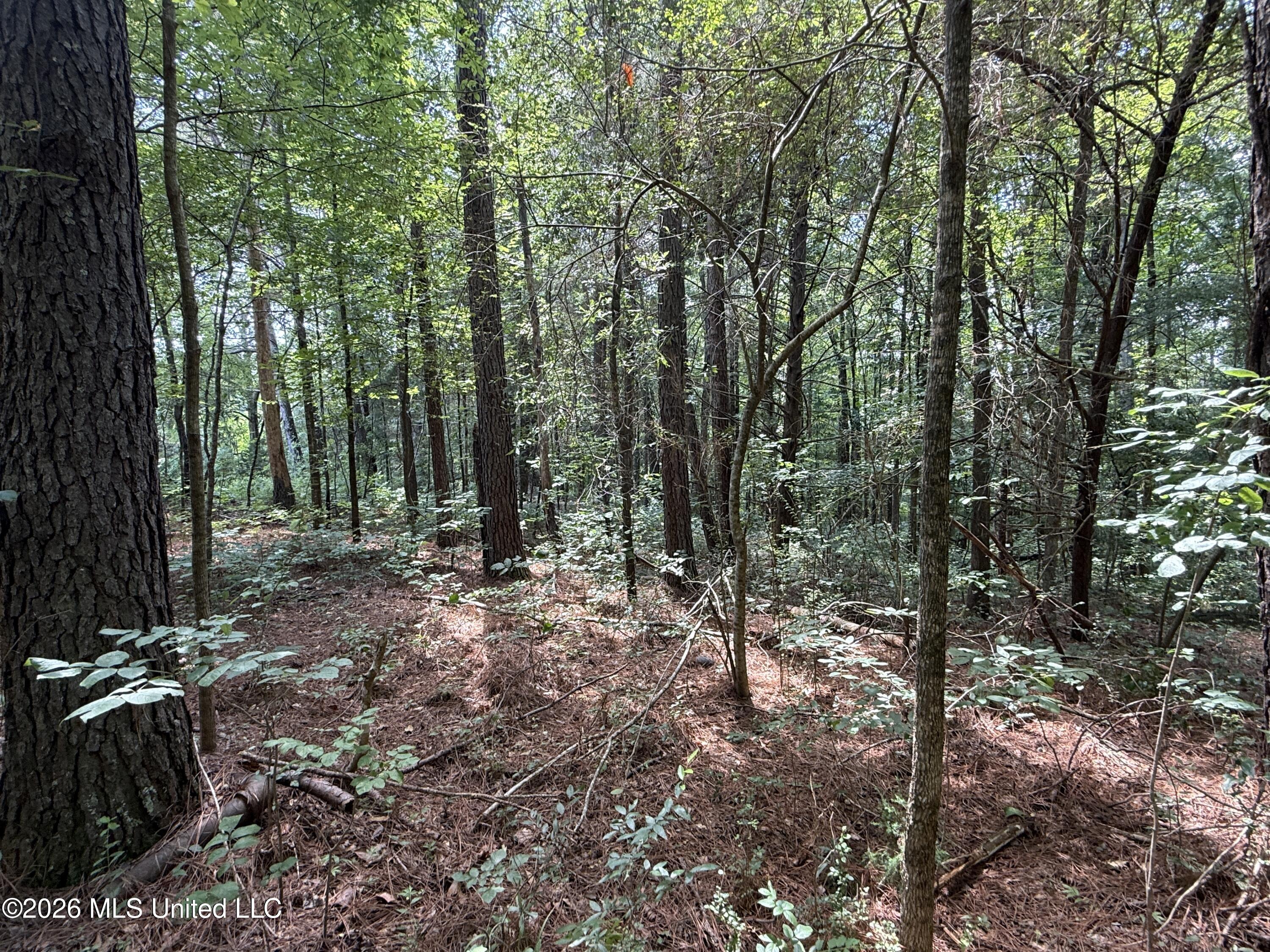 County Road 2251 Property Photo 17