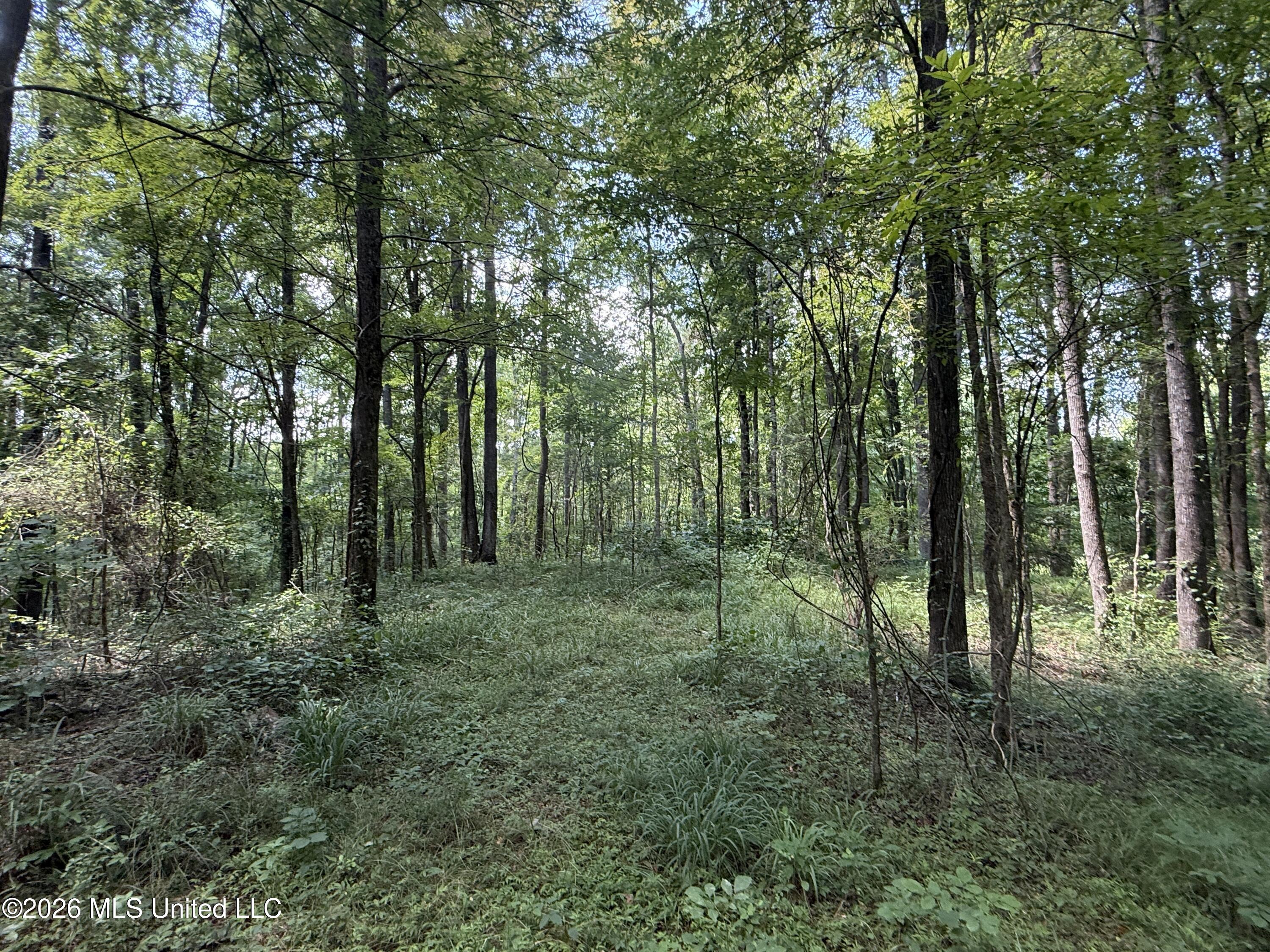 County Road 2251 Property Photo 18