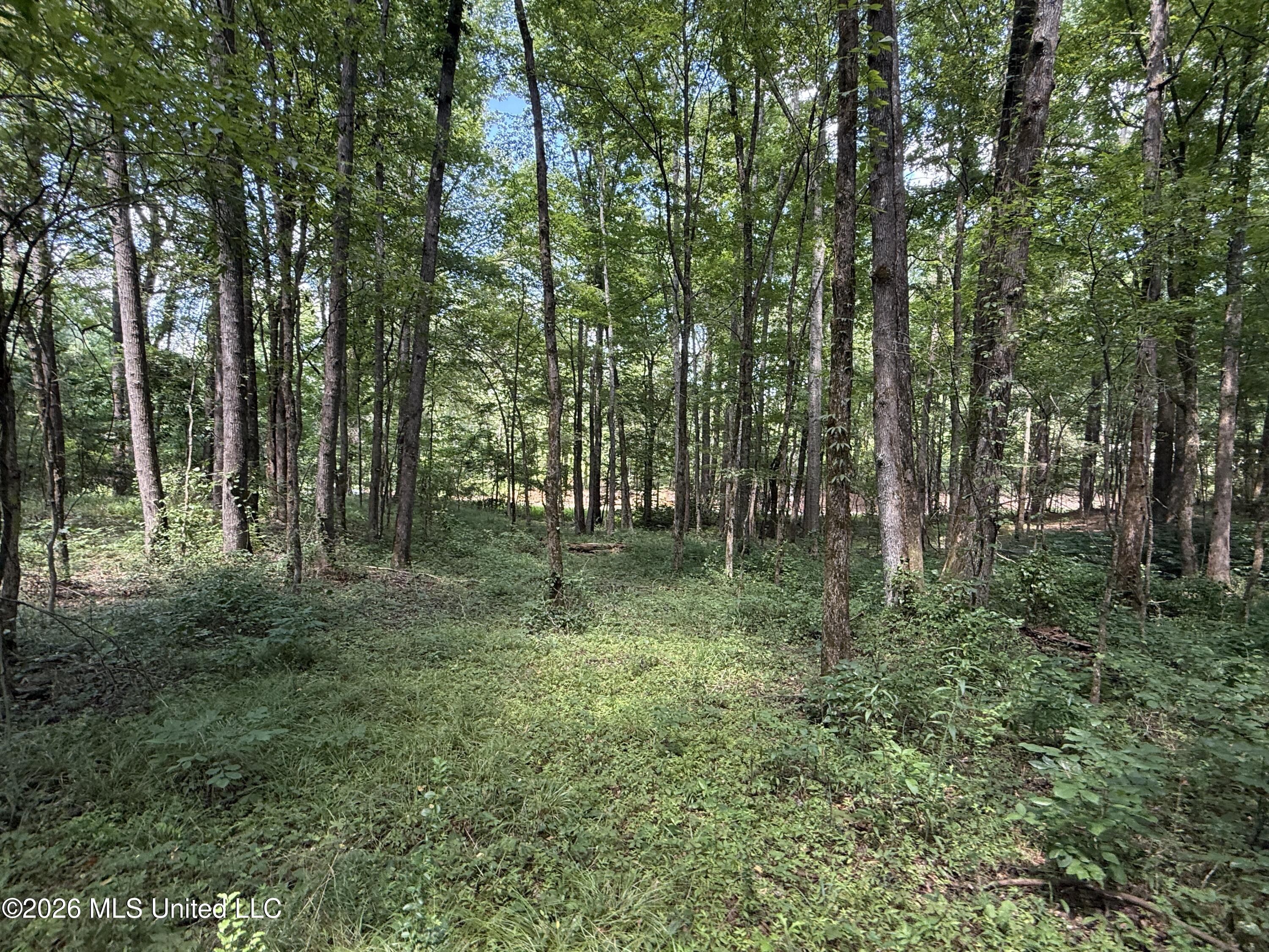 County Road 2251 Property Photo 19