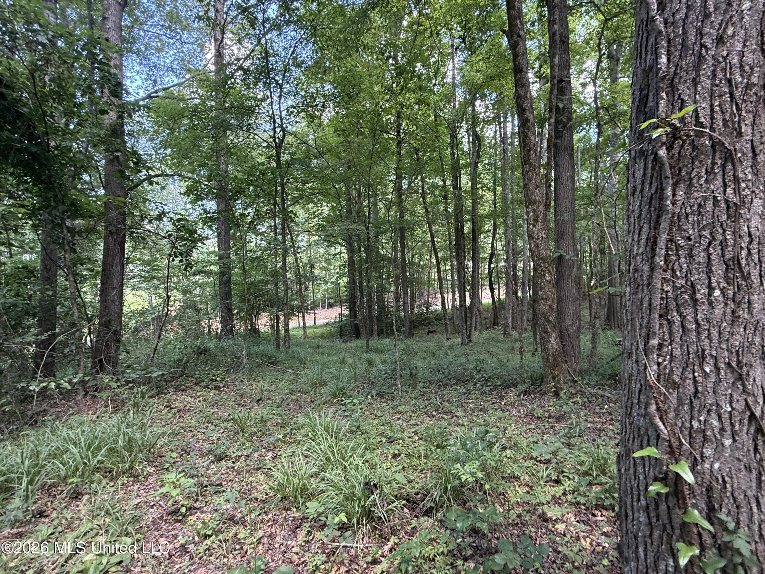 County Road 2251 Property Photo 20