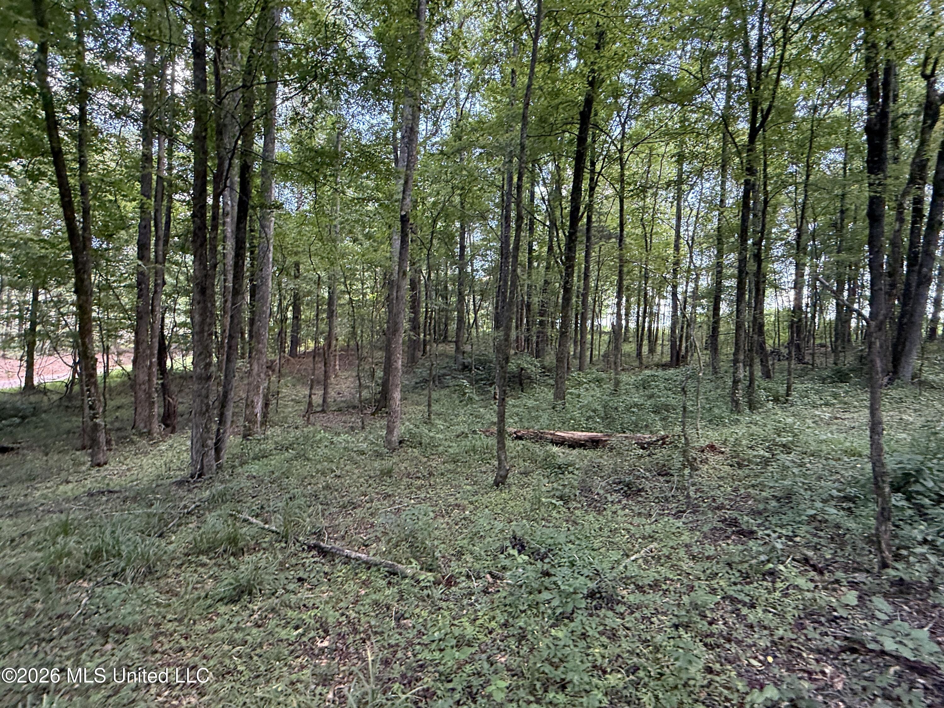 County Road 2251 Property Photo 21