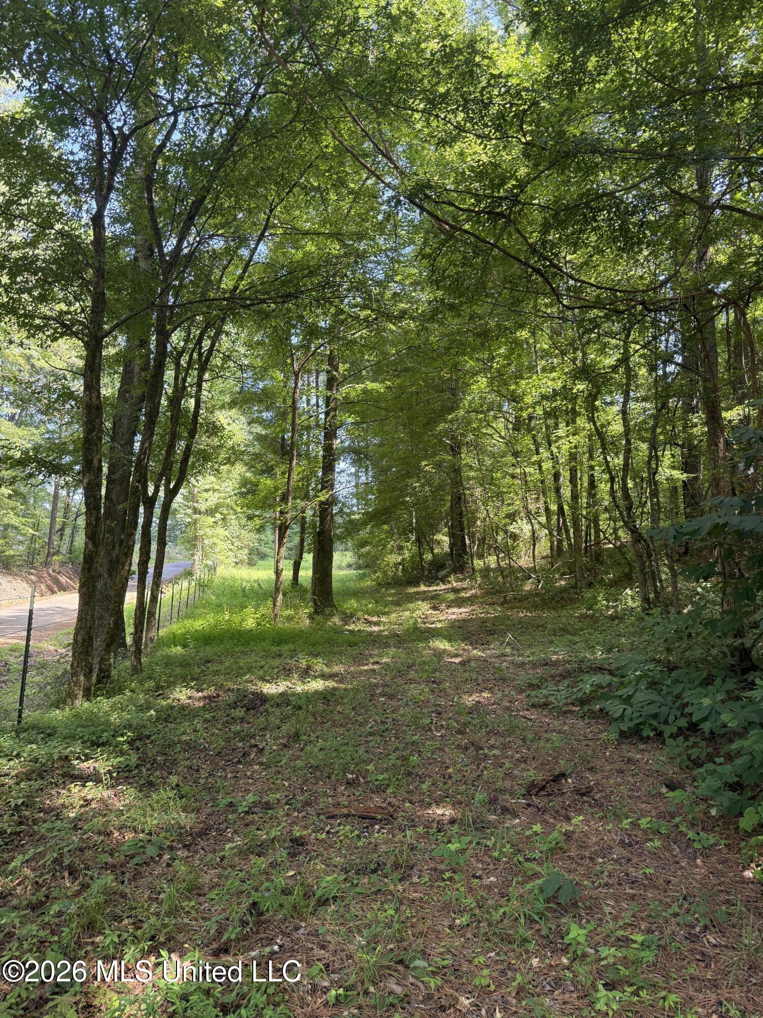 County Road 2251 Property Photo 22