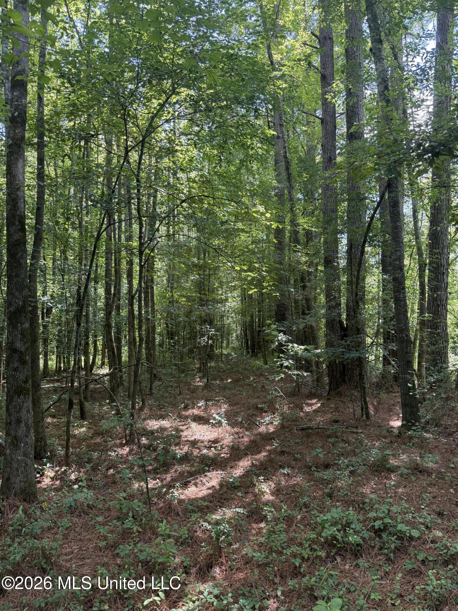 County Road 2251 Property Photo 23