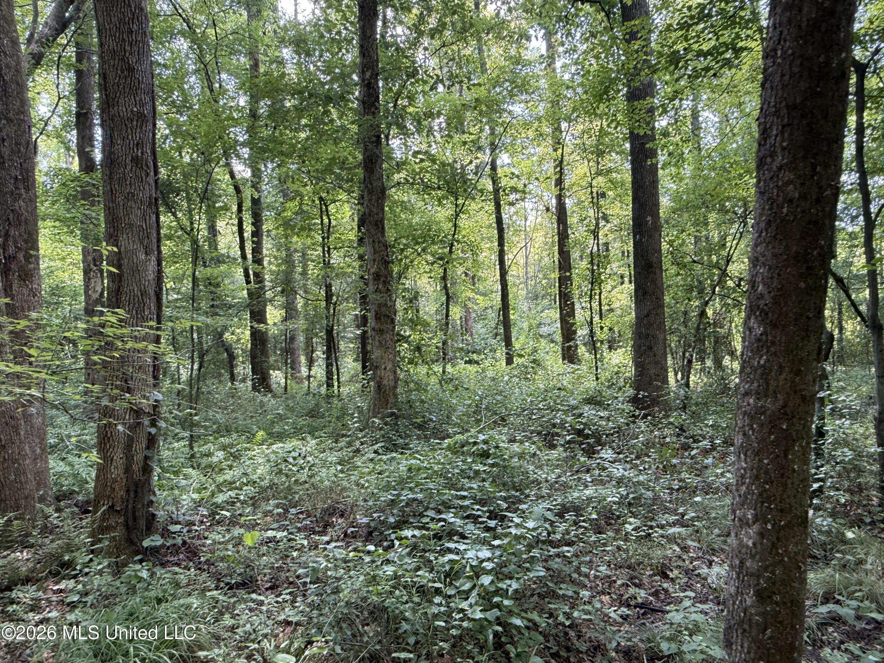 County Road 2251 Property Photo 24