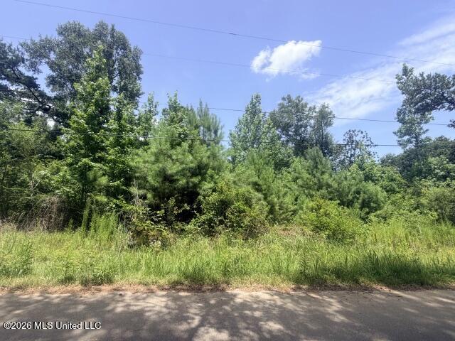 Johns Bayou Marina Rd Road Property Photo 1