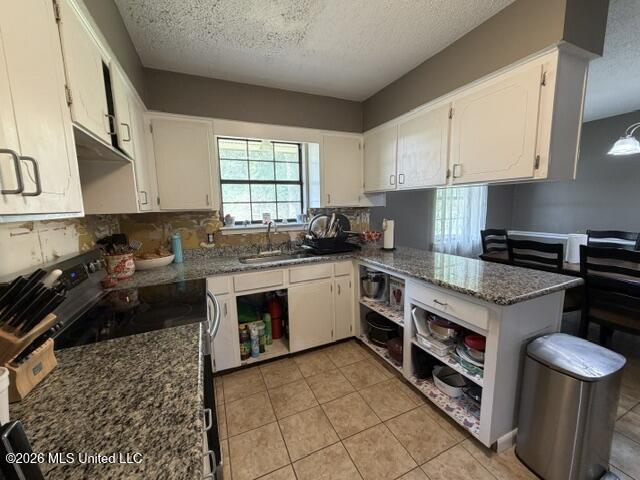 388 Ozona Road Property Photo 9