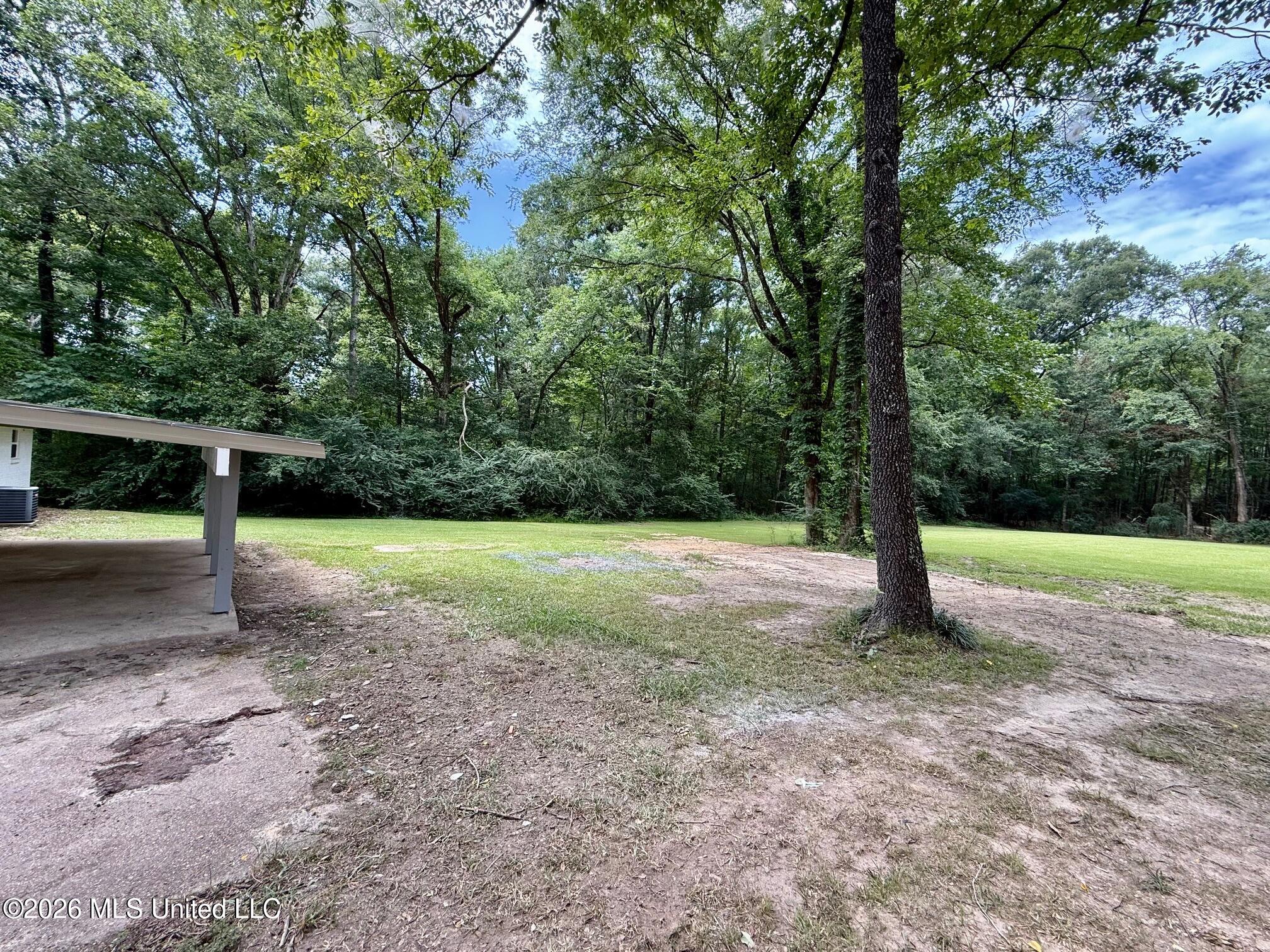 113 Shannon Trey Lane Property Photo 25