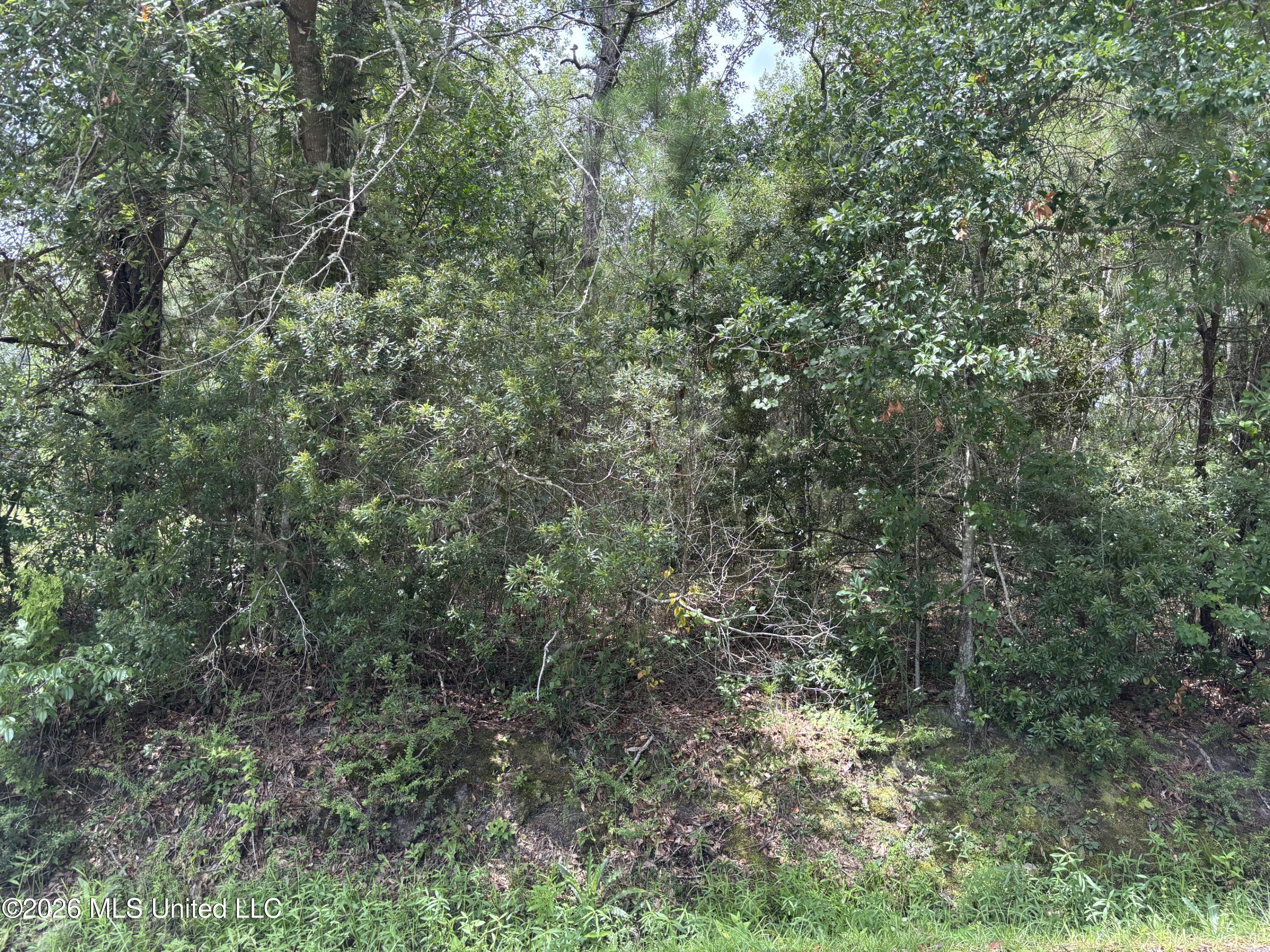 Saint Charles Street Property Photo 1