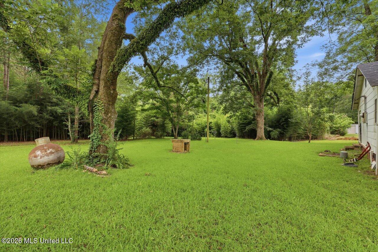 115 Tom Weathersby Property Photo 29