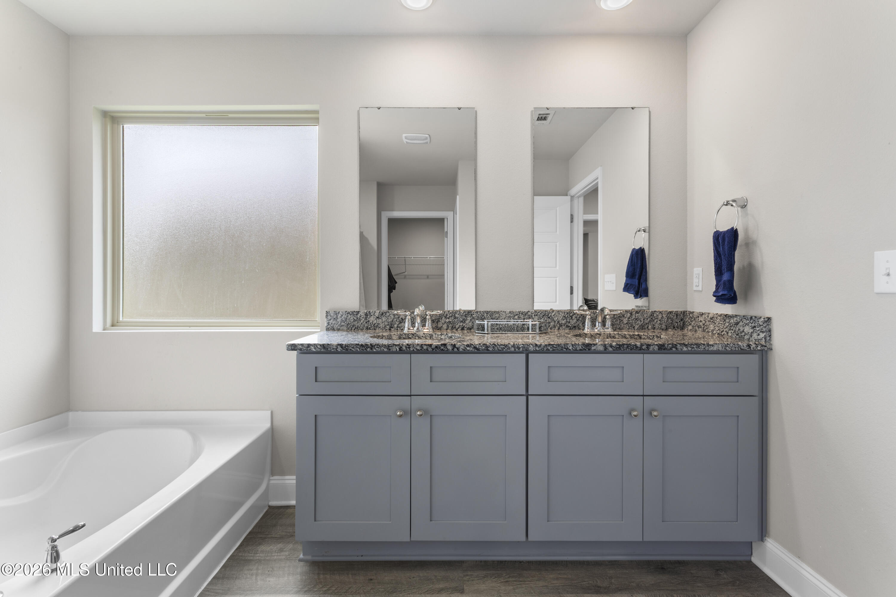 10239 Willow Leaf Drive Property Photo 18