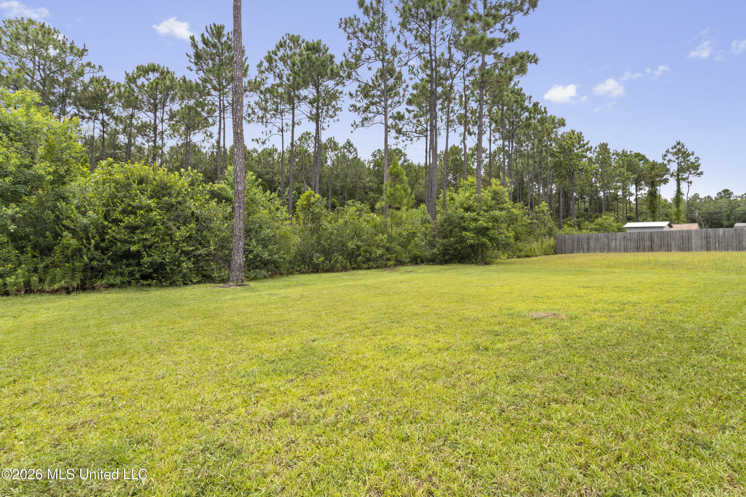 10239 Willow Leaf Drive Property Photo 30