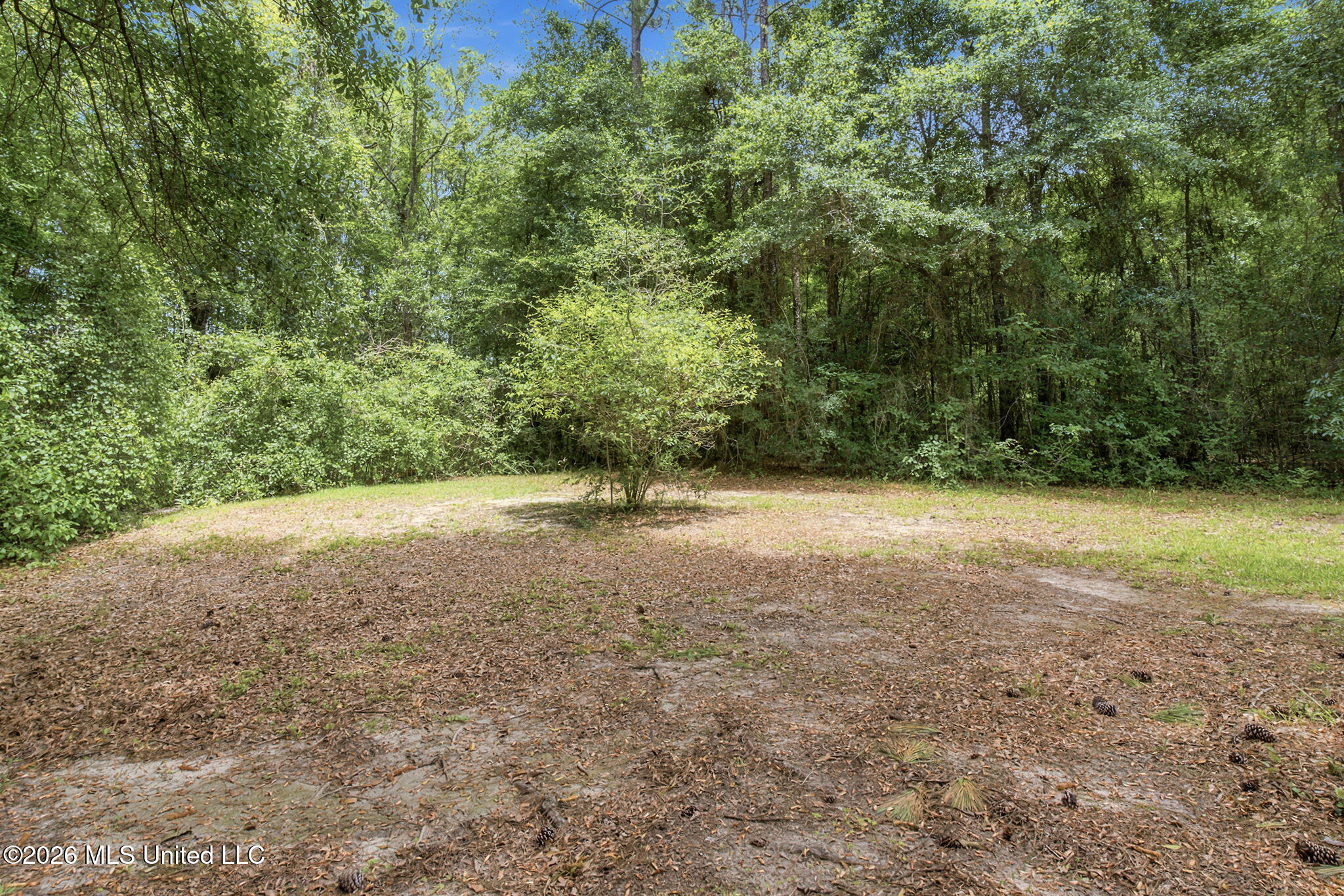 54 Jefferson Road Property Photo 36