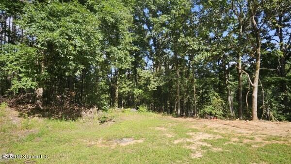 185 County Road 321 Property Photo 23