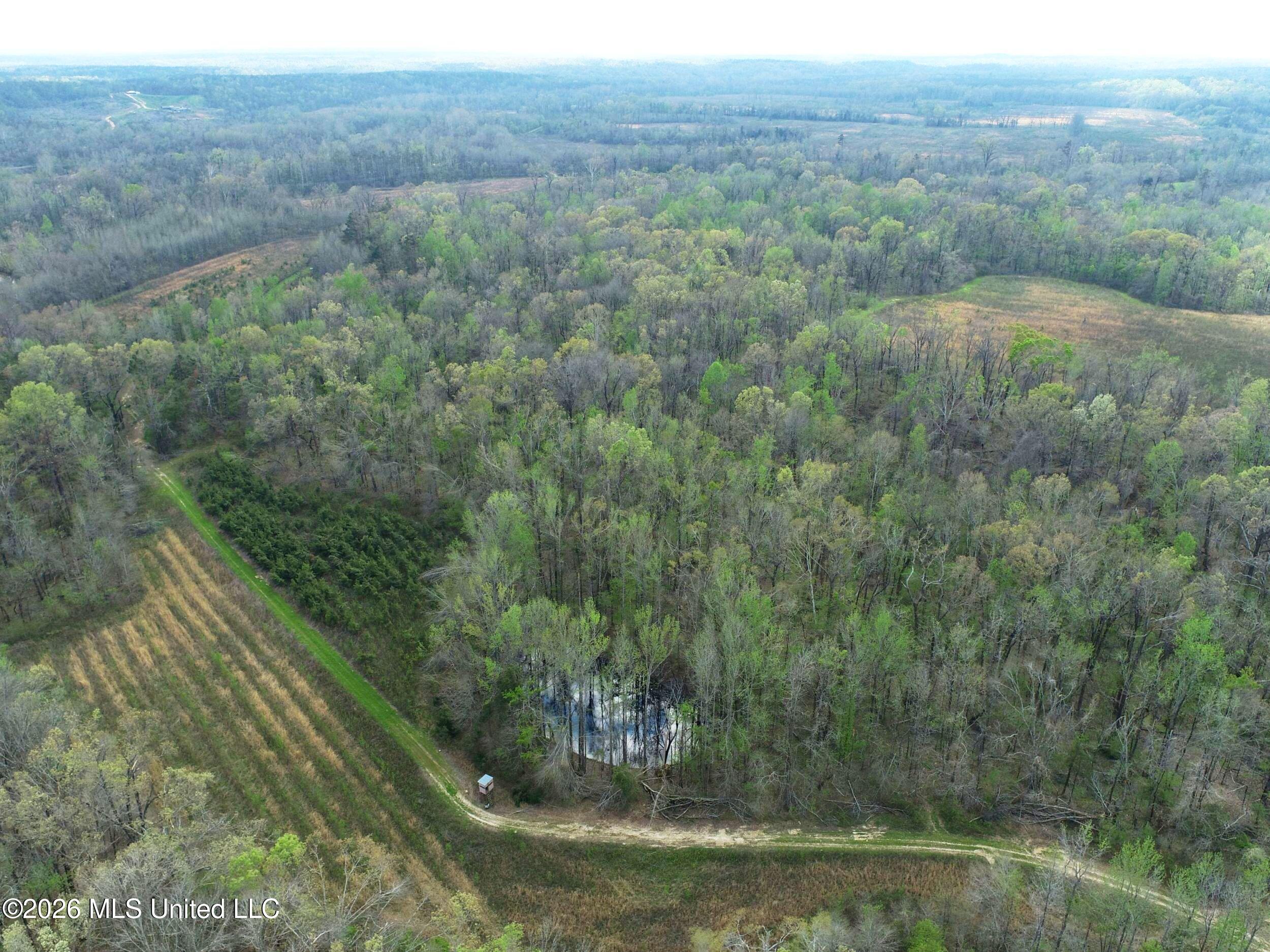 Chinqupin Road Property Photo 1