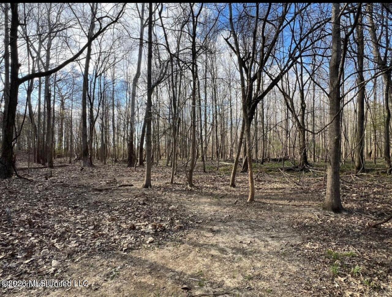 Fogg Road Property Photo 2