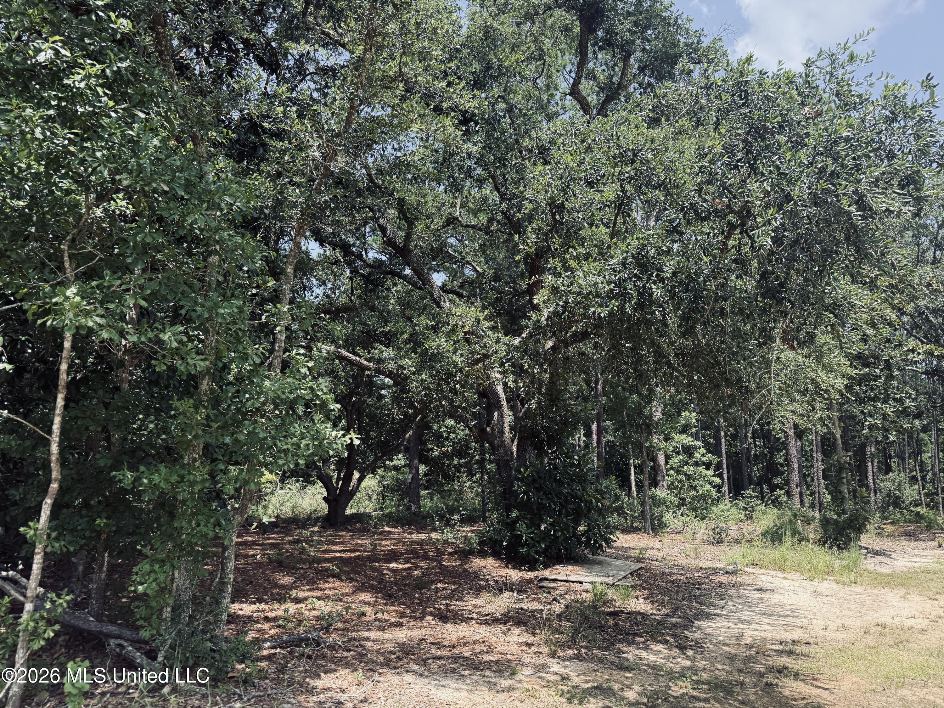 000 Old Spanish Trail Property Photo 3