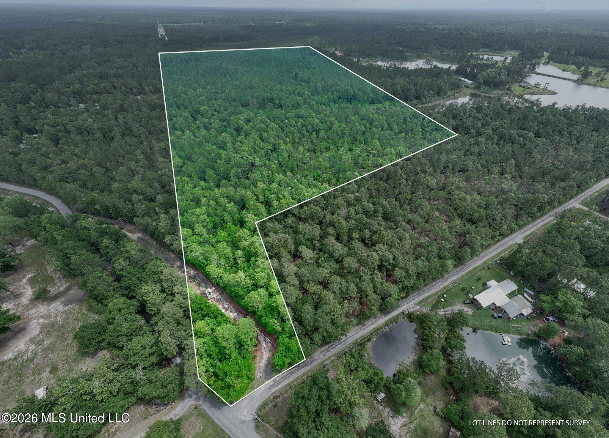 68 Acres Blue Wood Drive Property Photo 2