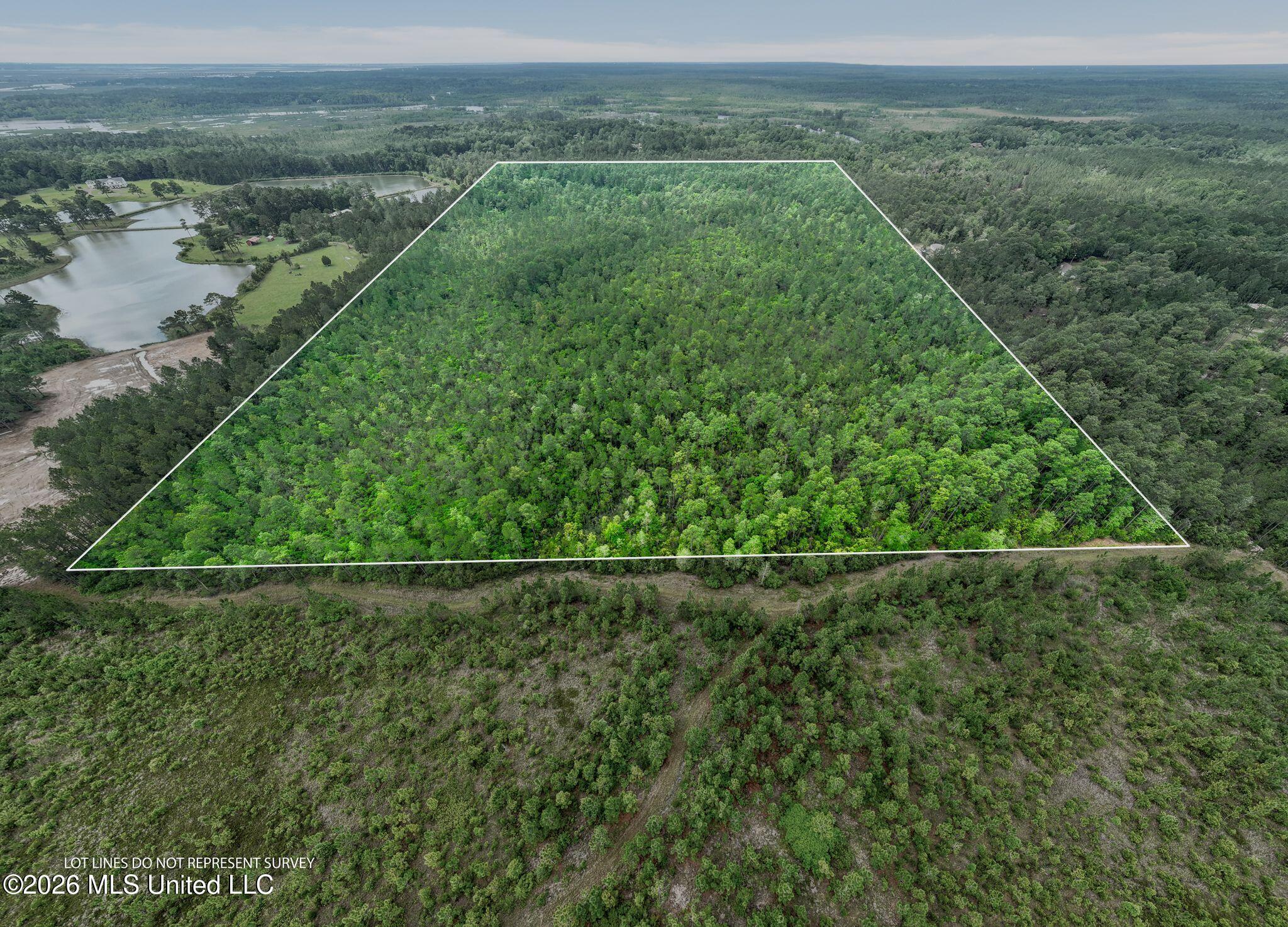 68 Acres Blue Wood Drive Property Photo 3