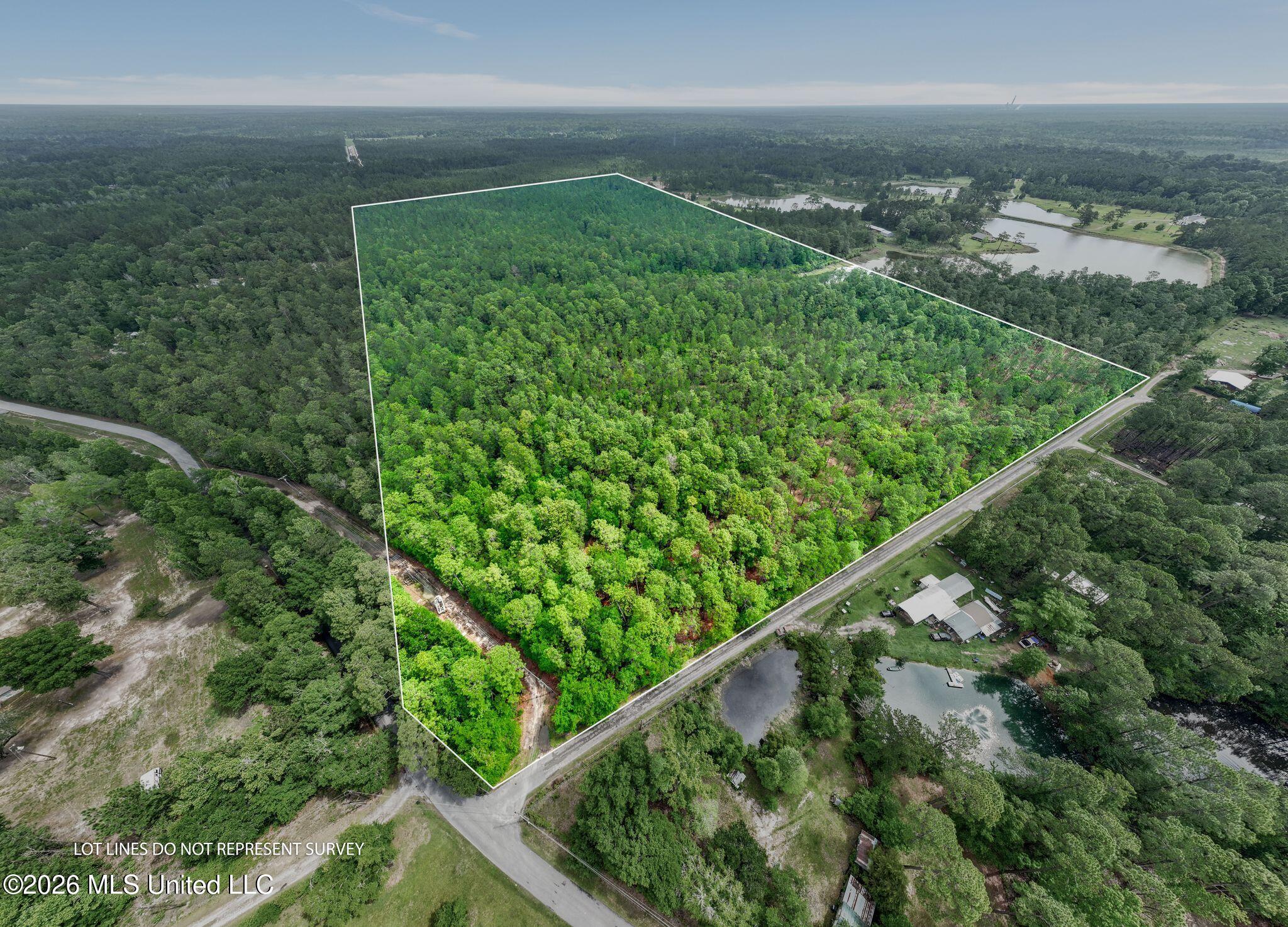 68 Acres Blue Wood Drive Property Photo 4
