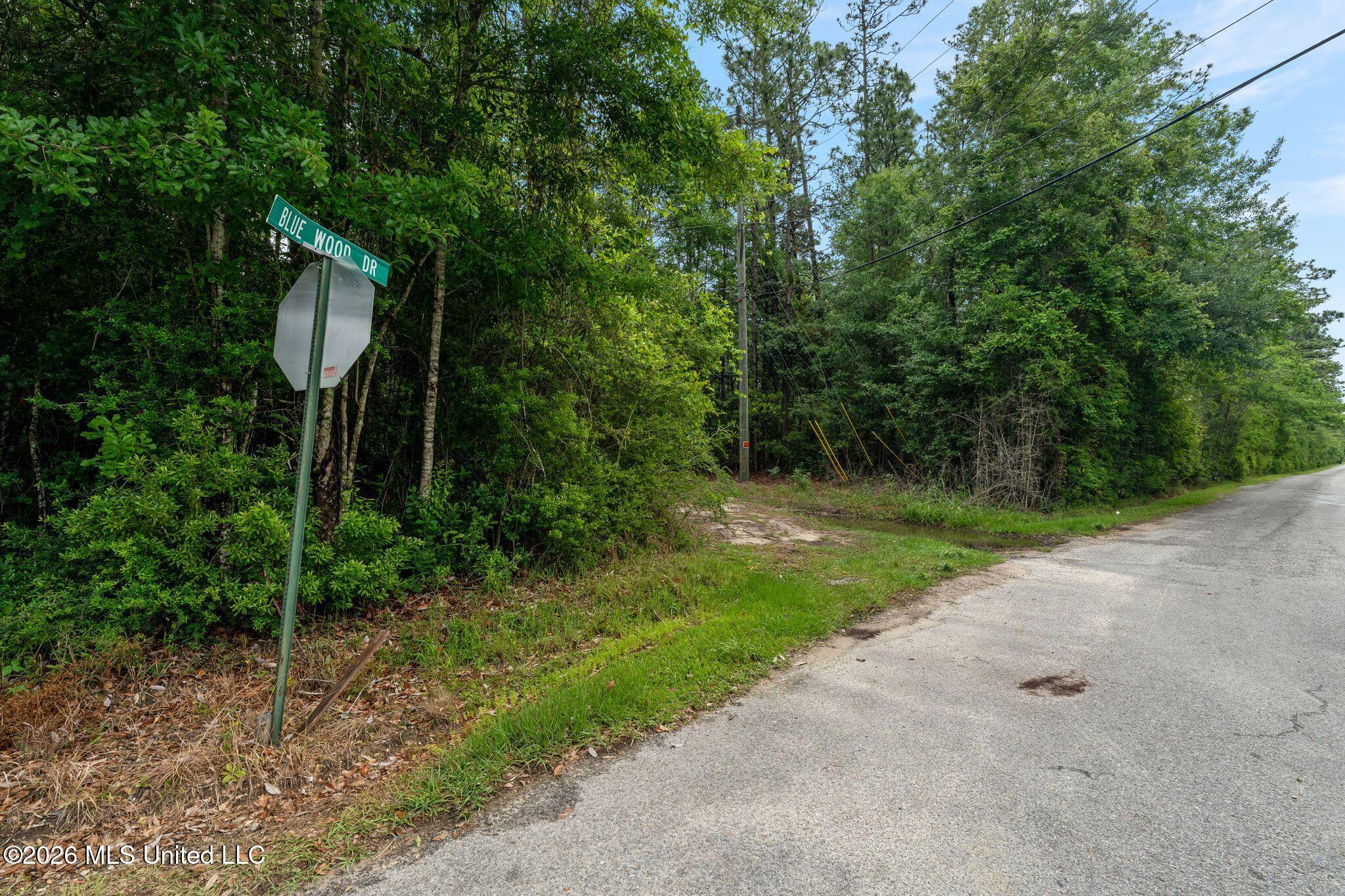 68 Acres Blue Wood Drive Property Photo 6