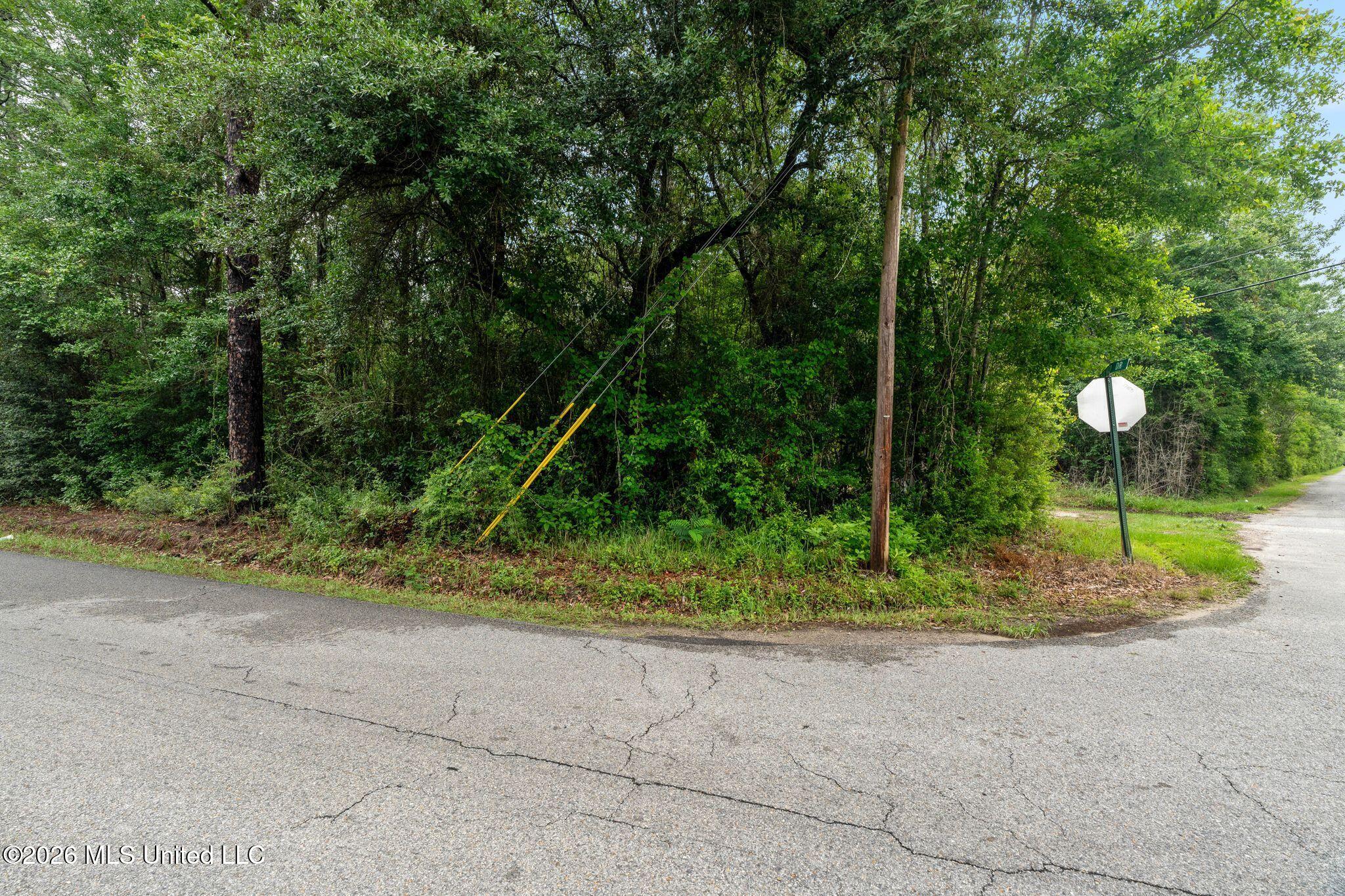 68 Acres Blue Wood Drive Property Photo 7