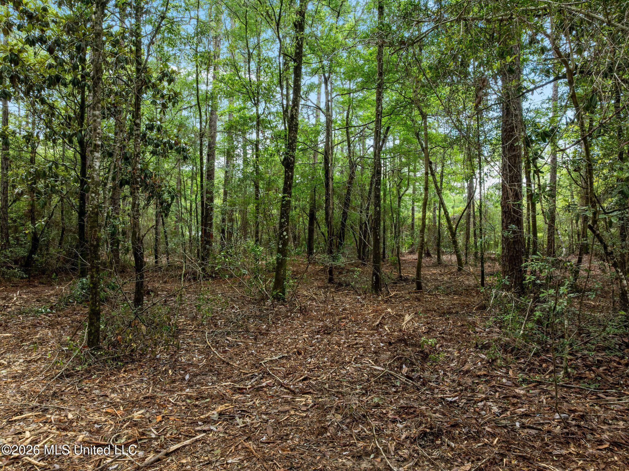 68 Acres Blue Wood Drive Property Photo 10