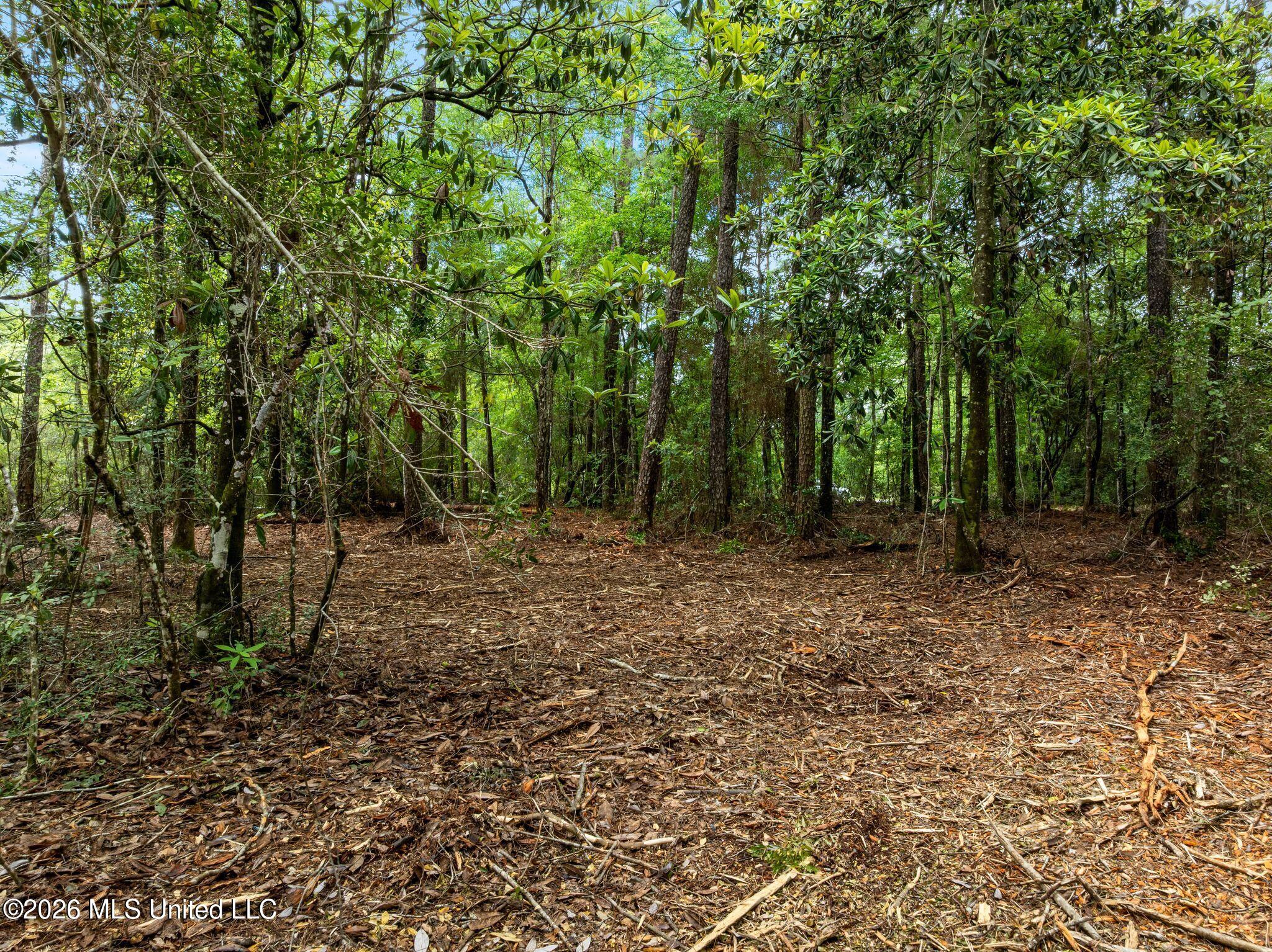 68 Acres Blue Wood Drive Property Photo 11