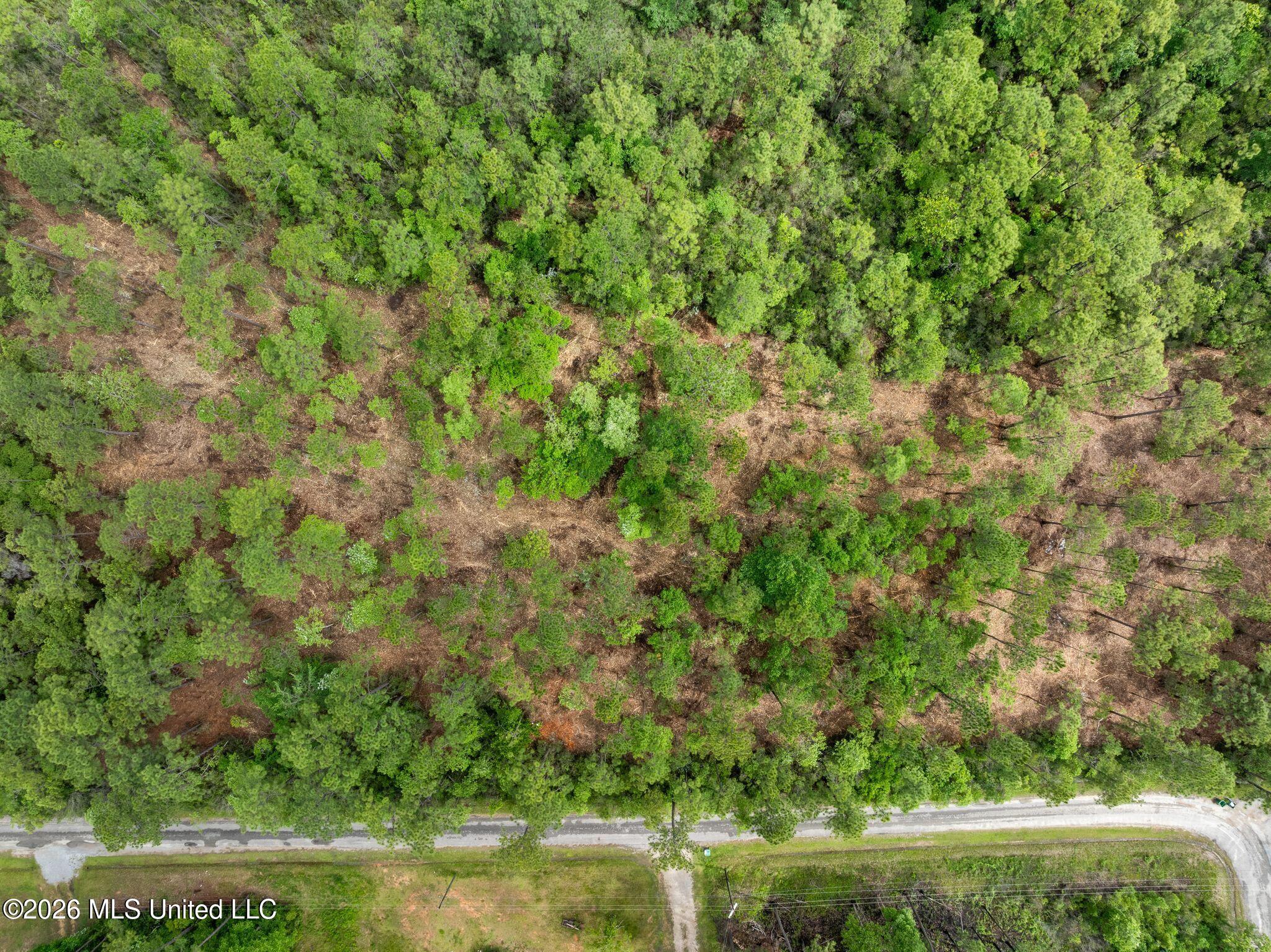 68 Acres Blue Wood Drive Property Photo 12