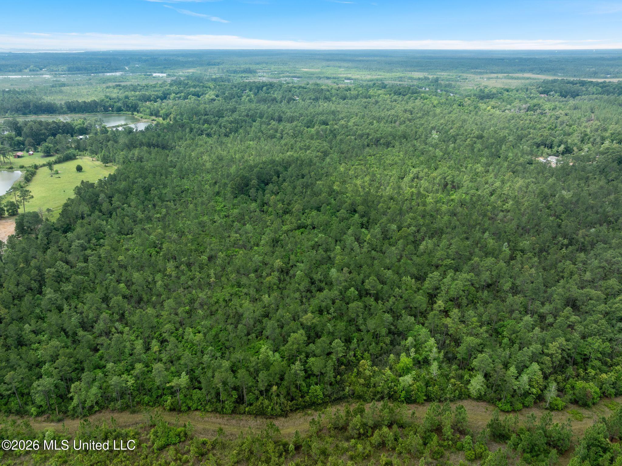 68 Acres Blue Wood Drive Property Photo 23