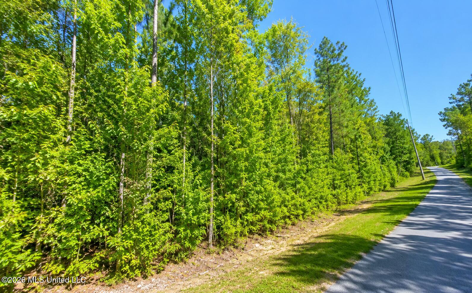 2010 Dogwood Ridge Road Property Photo 1