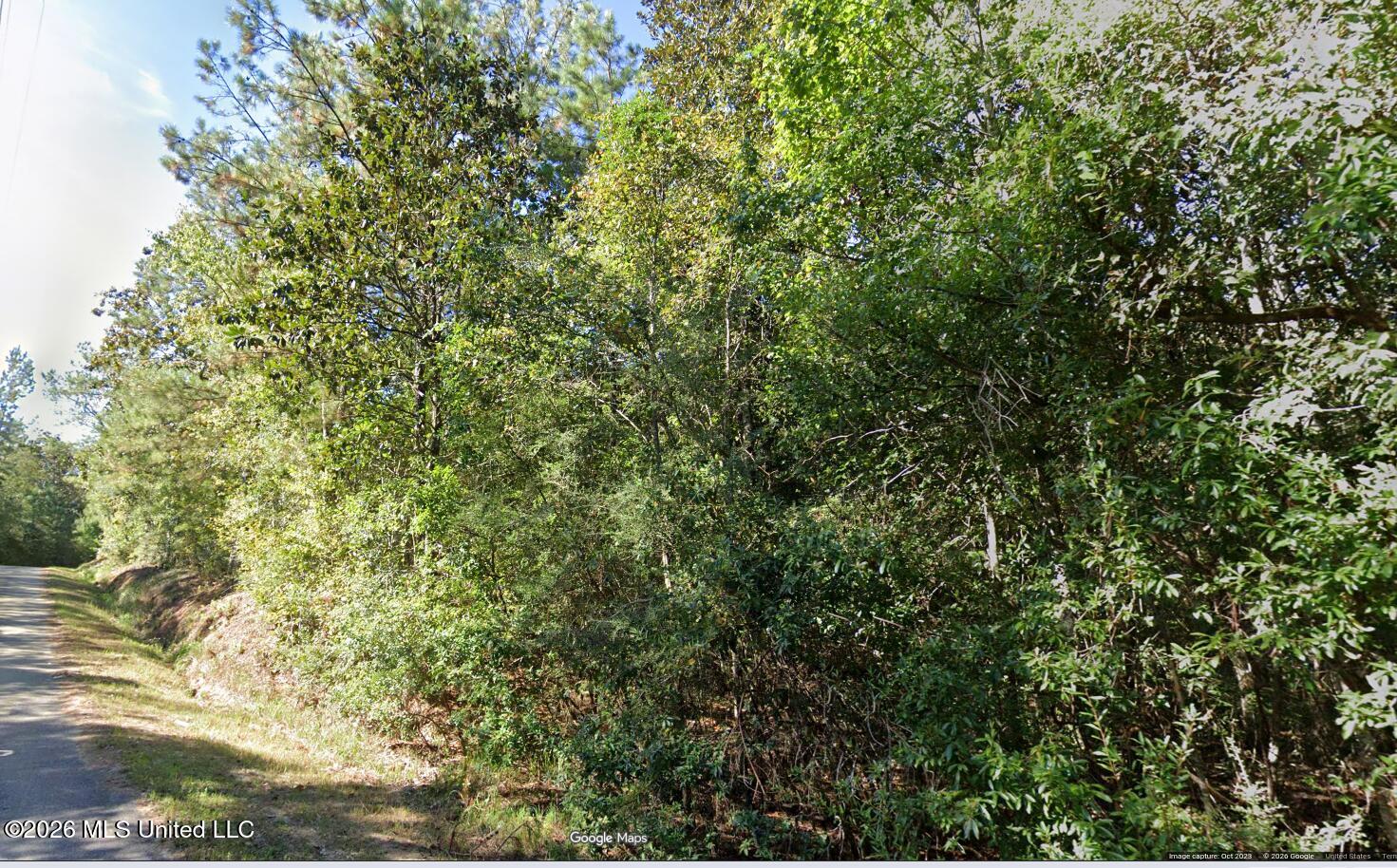 2010 Dogwood Ridge Road Property Photo 4