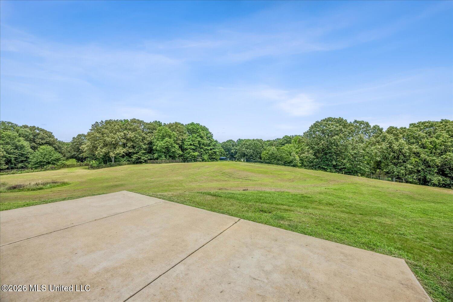 4620 Thompson Lane Property Photo 45