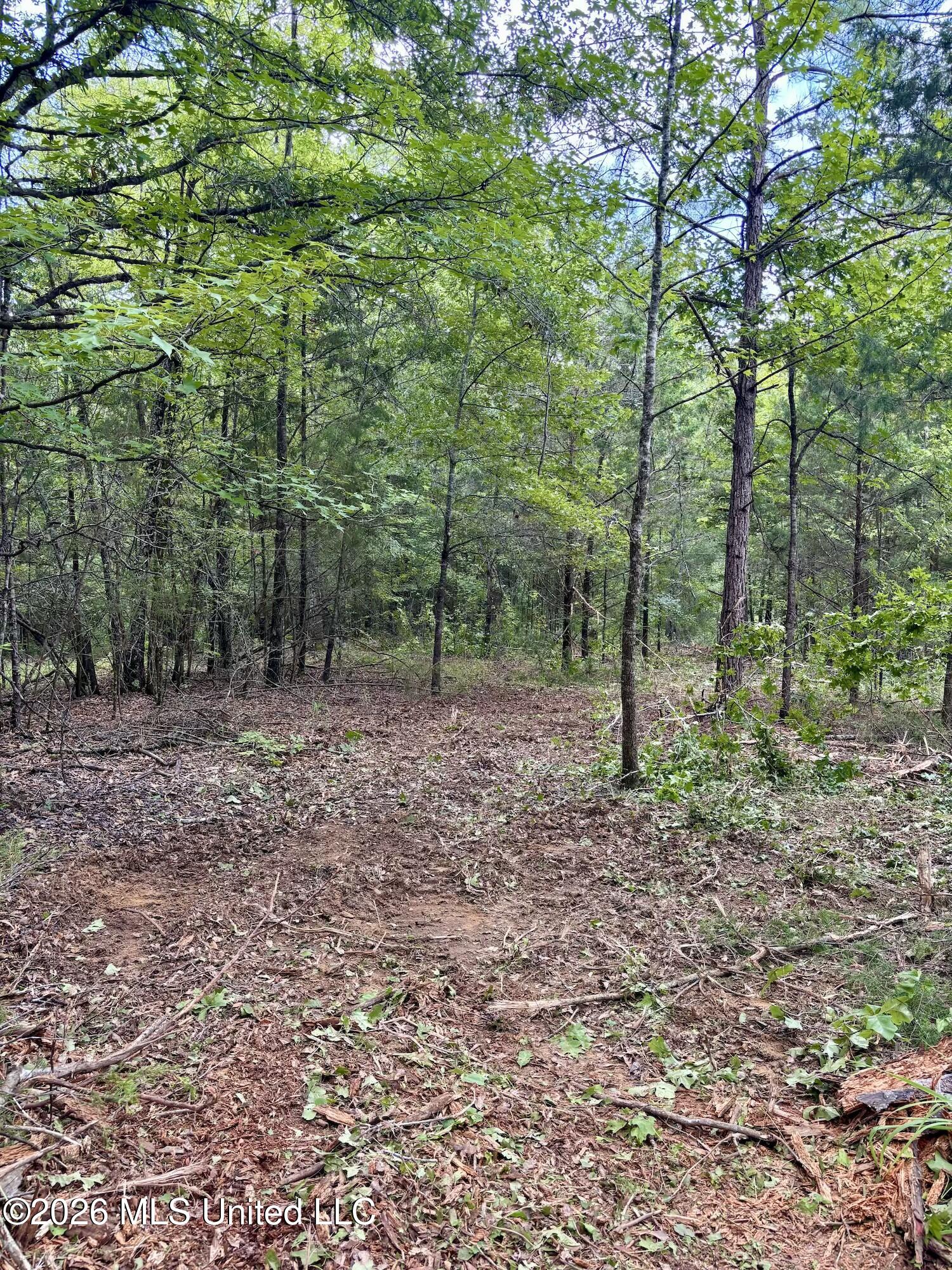 11616 Wildwood Road Property Photo 5